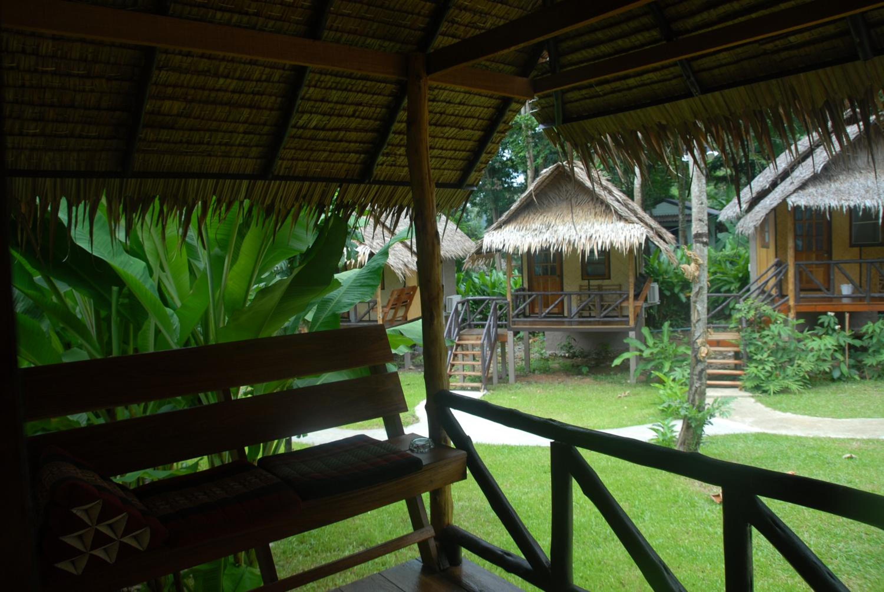 Jungle Garden