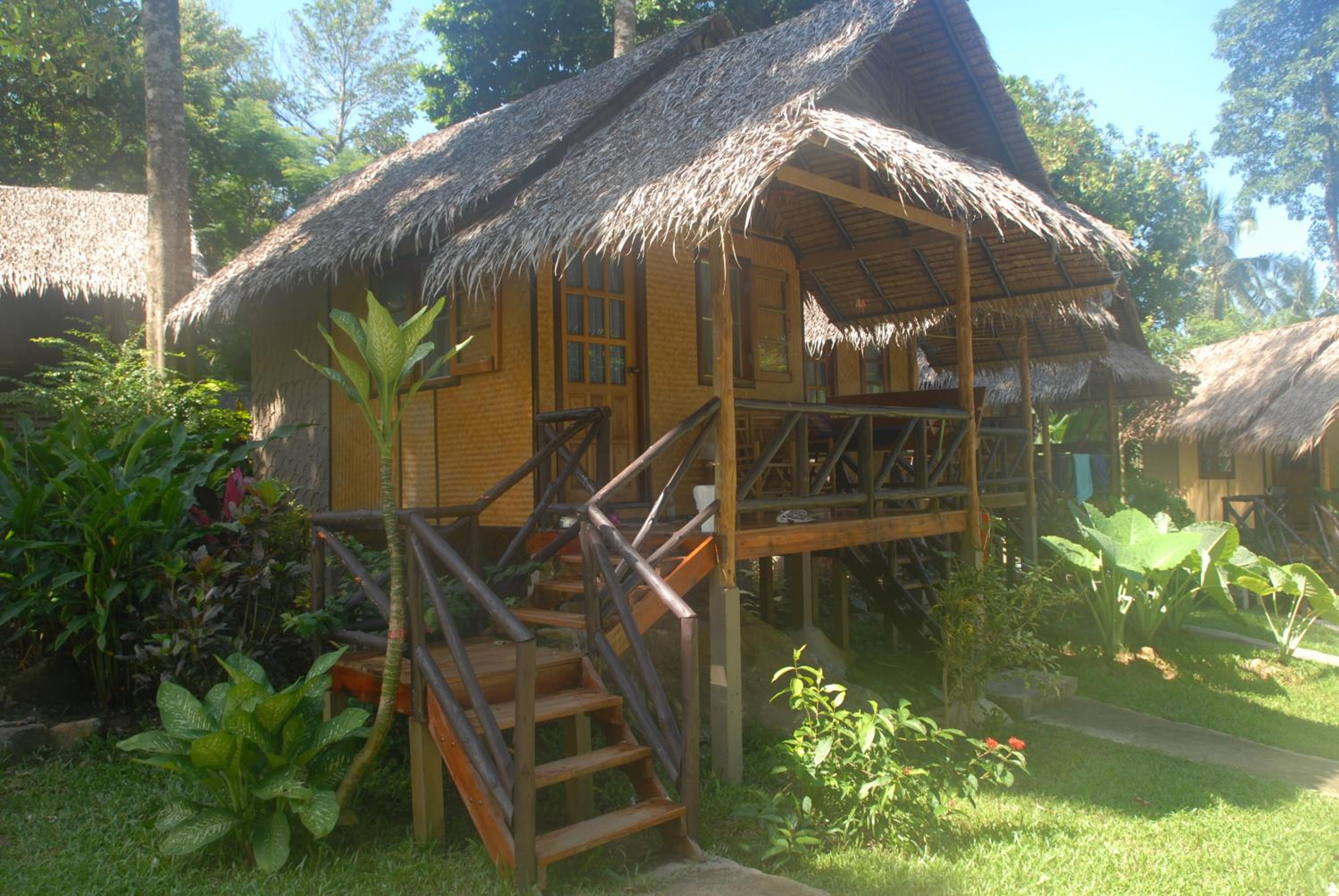Jungle Garden