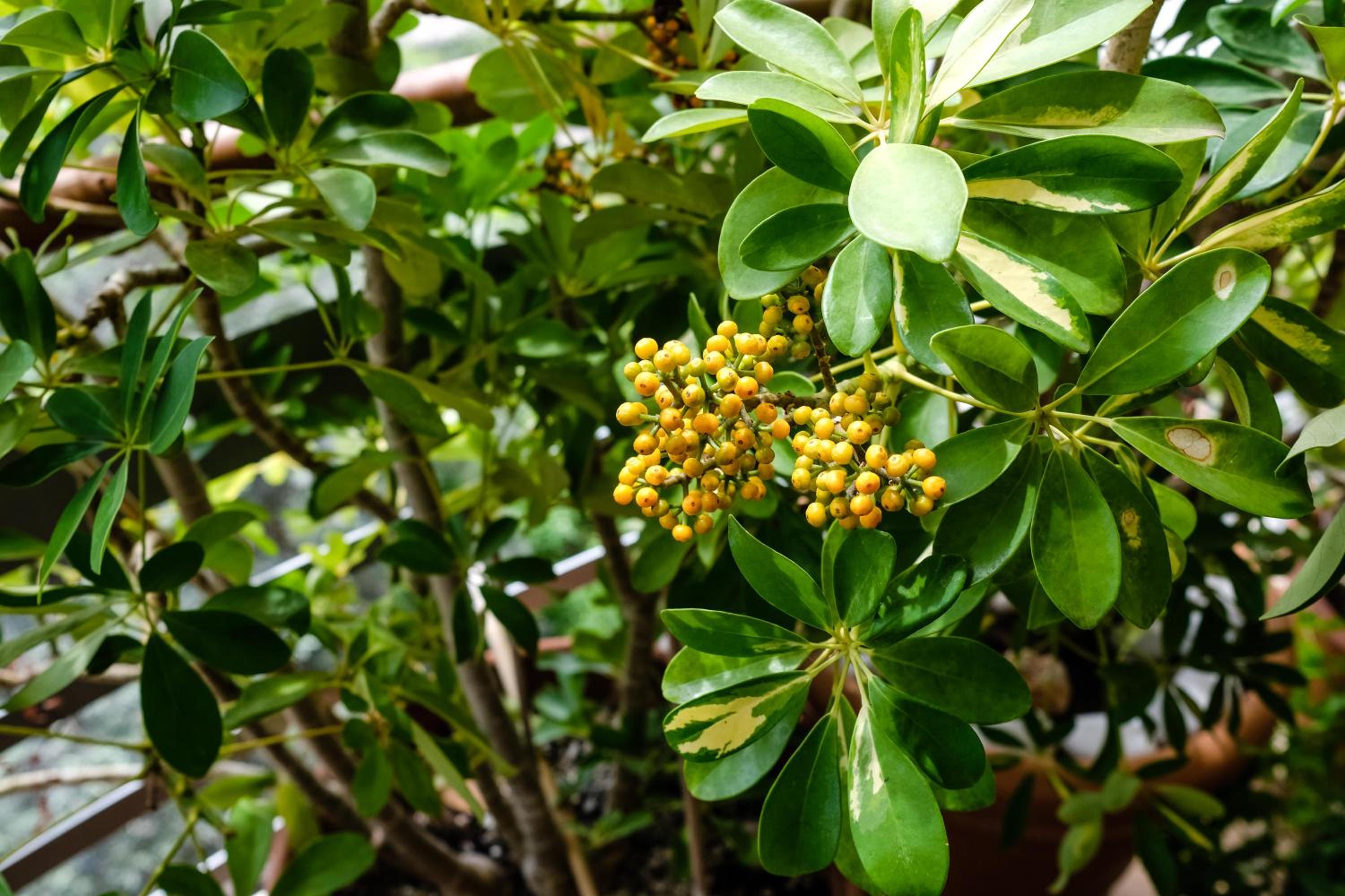 Lovely flat of Nafplio photo 2