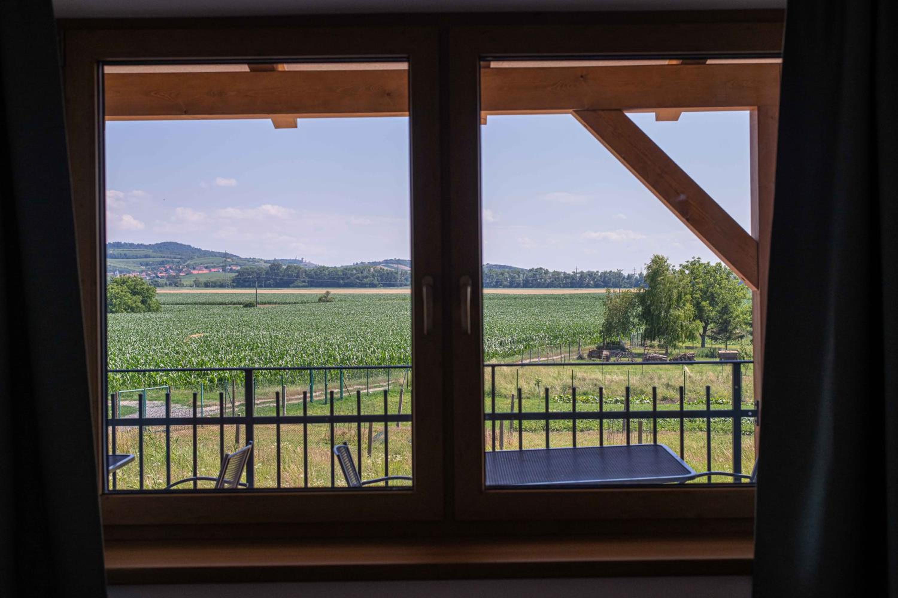 Apartmány Vinařství Šebesta