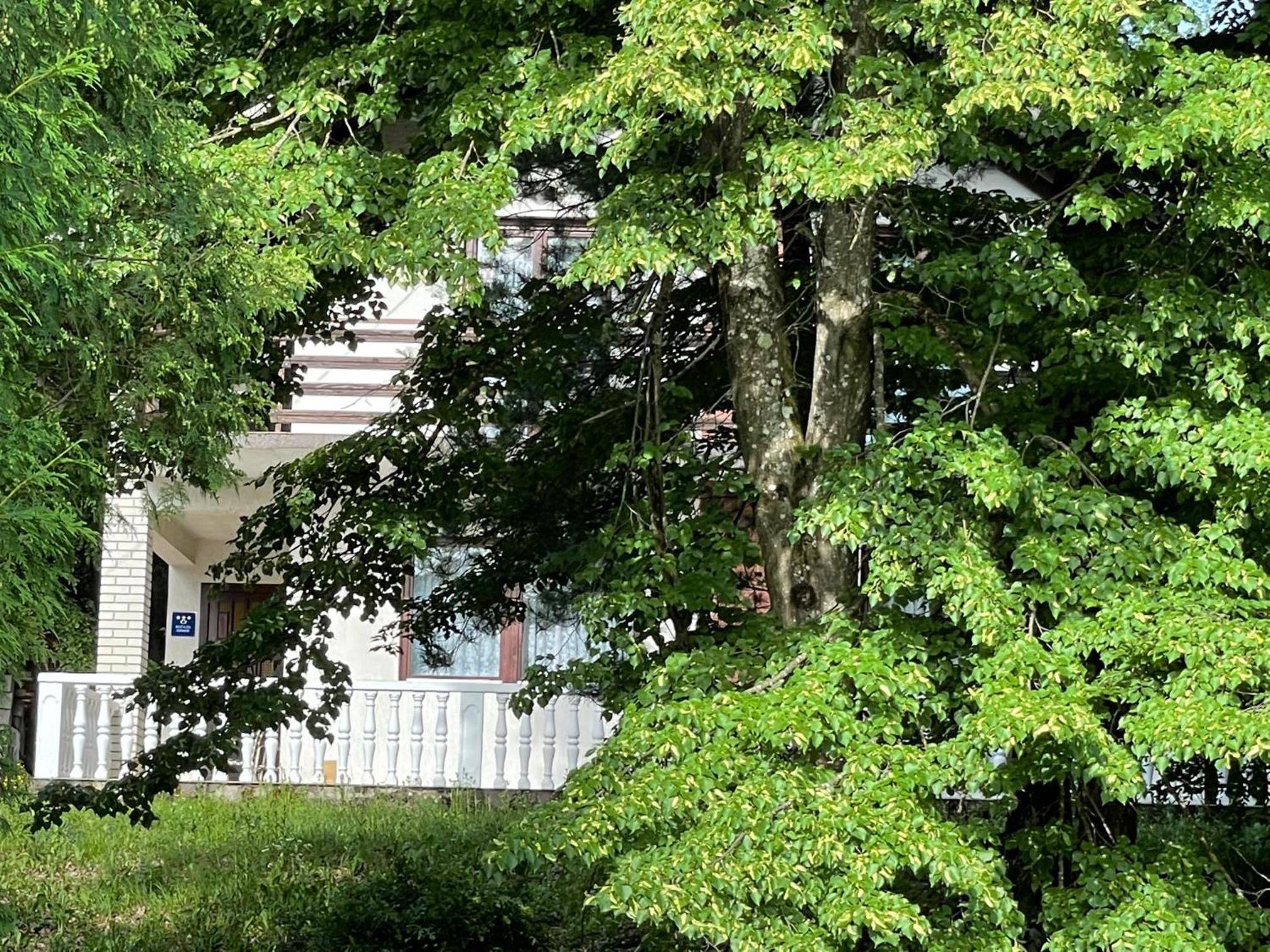 Photo 27