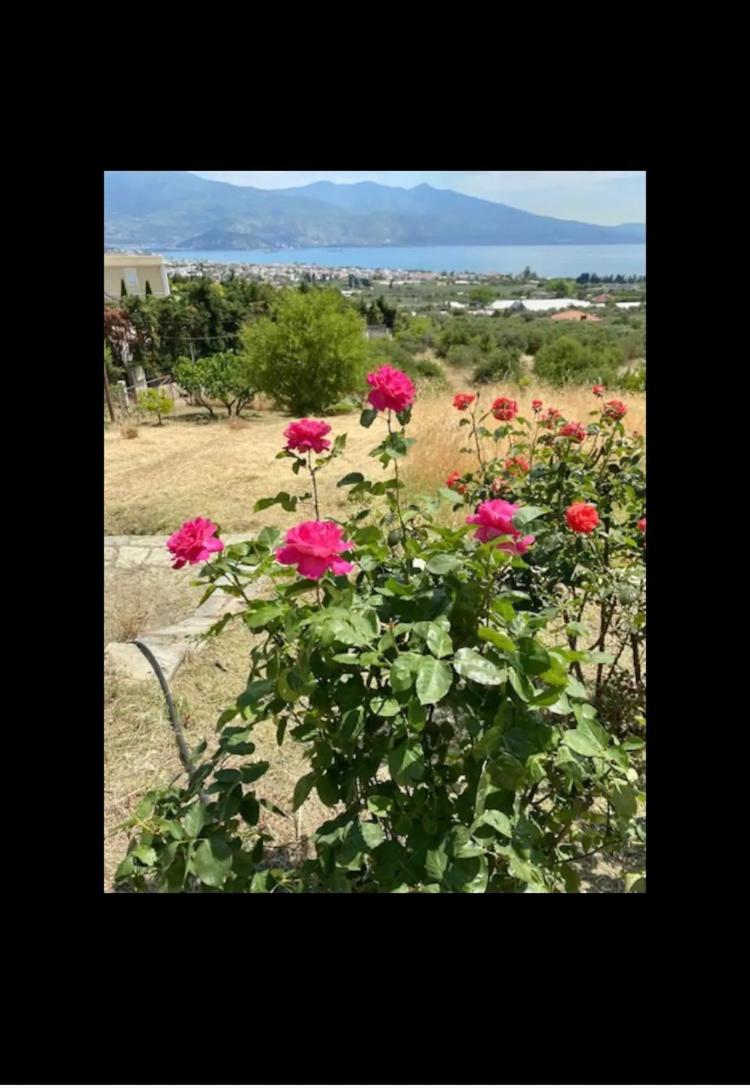Belinda House view 4