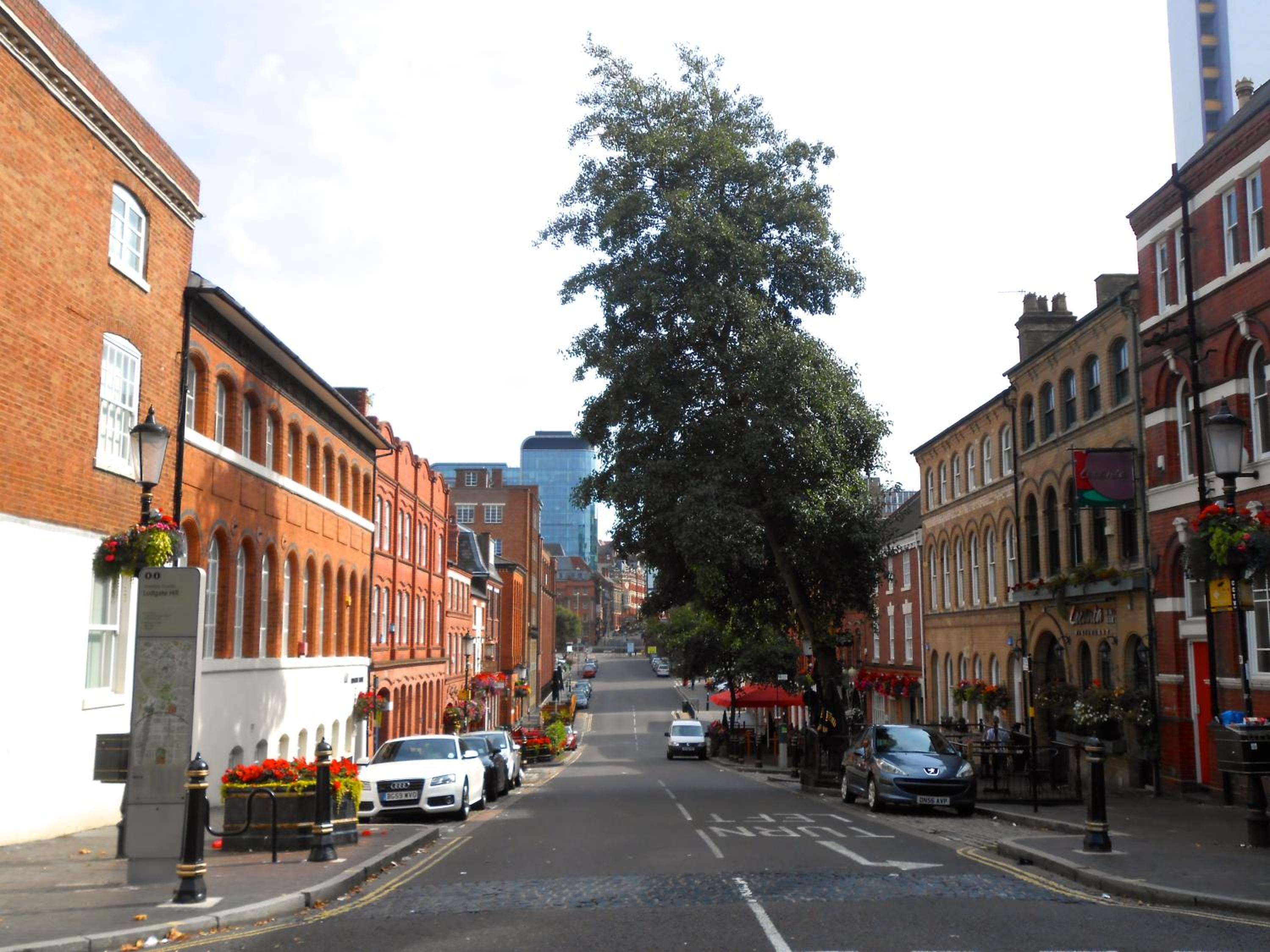 Photo 44