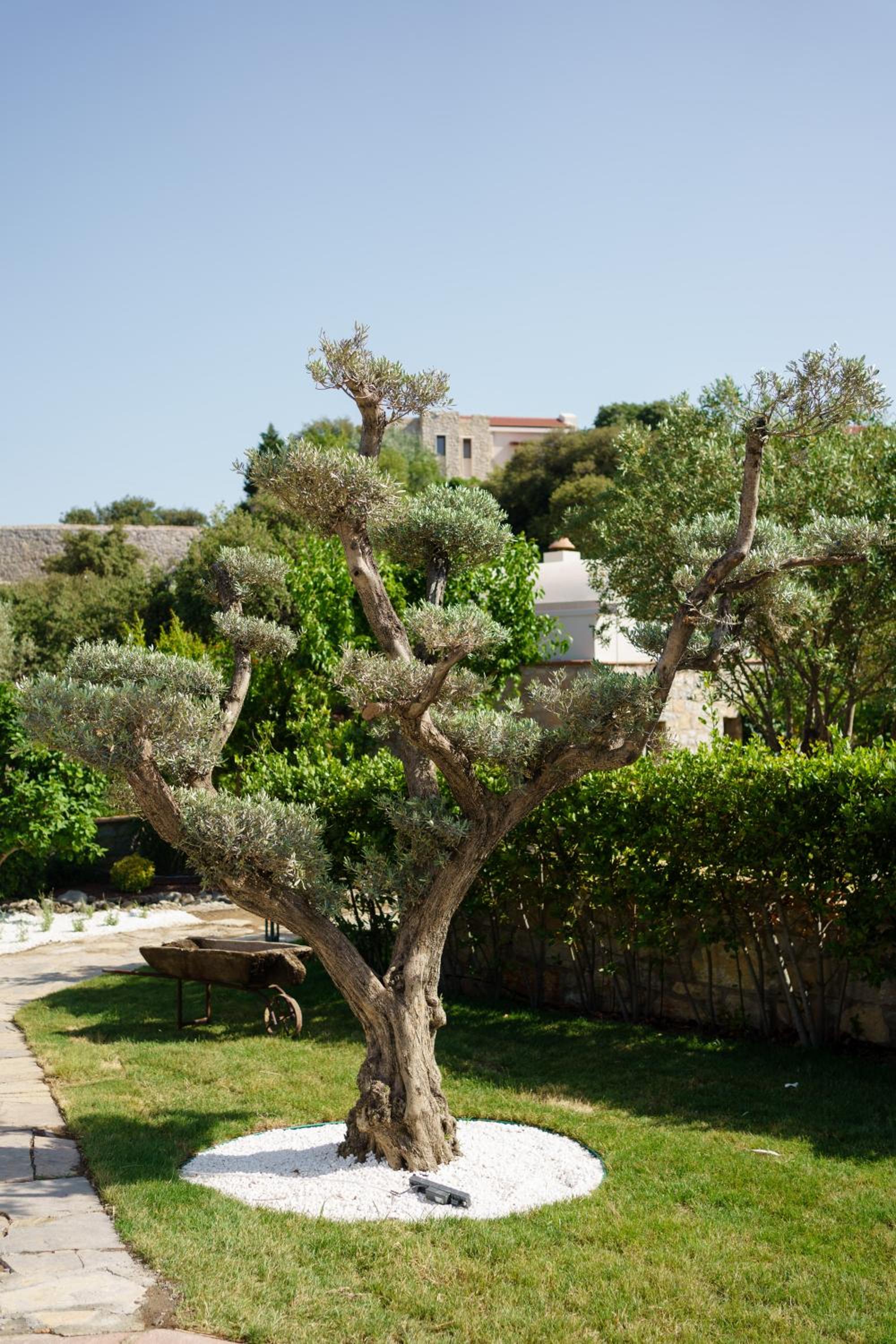 Photo 45