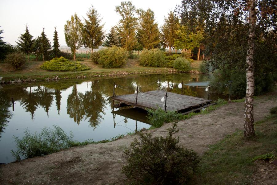 Photo 57