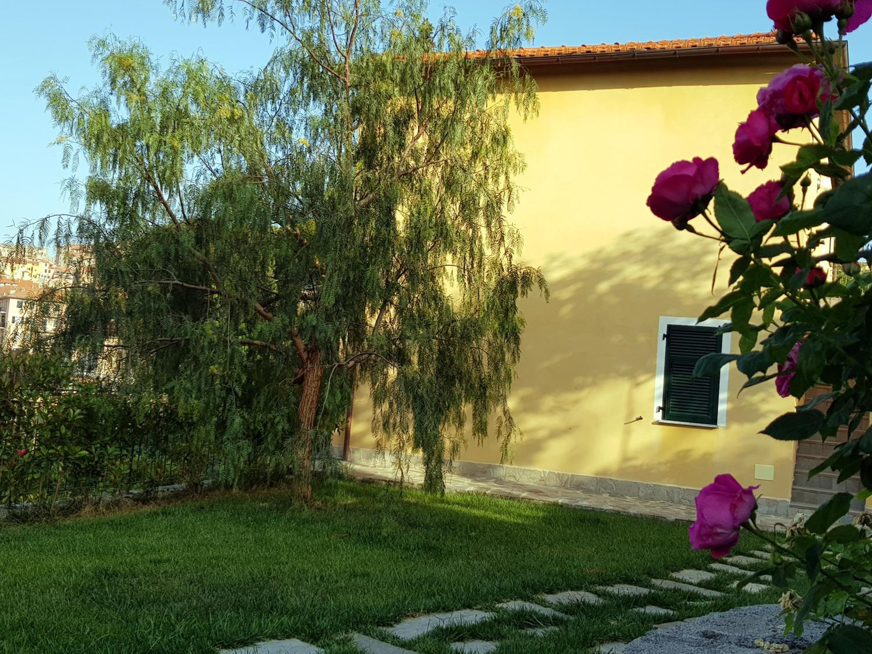 Photo 24