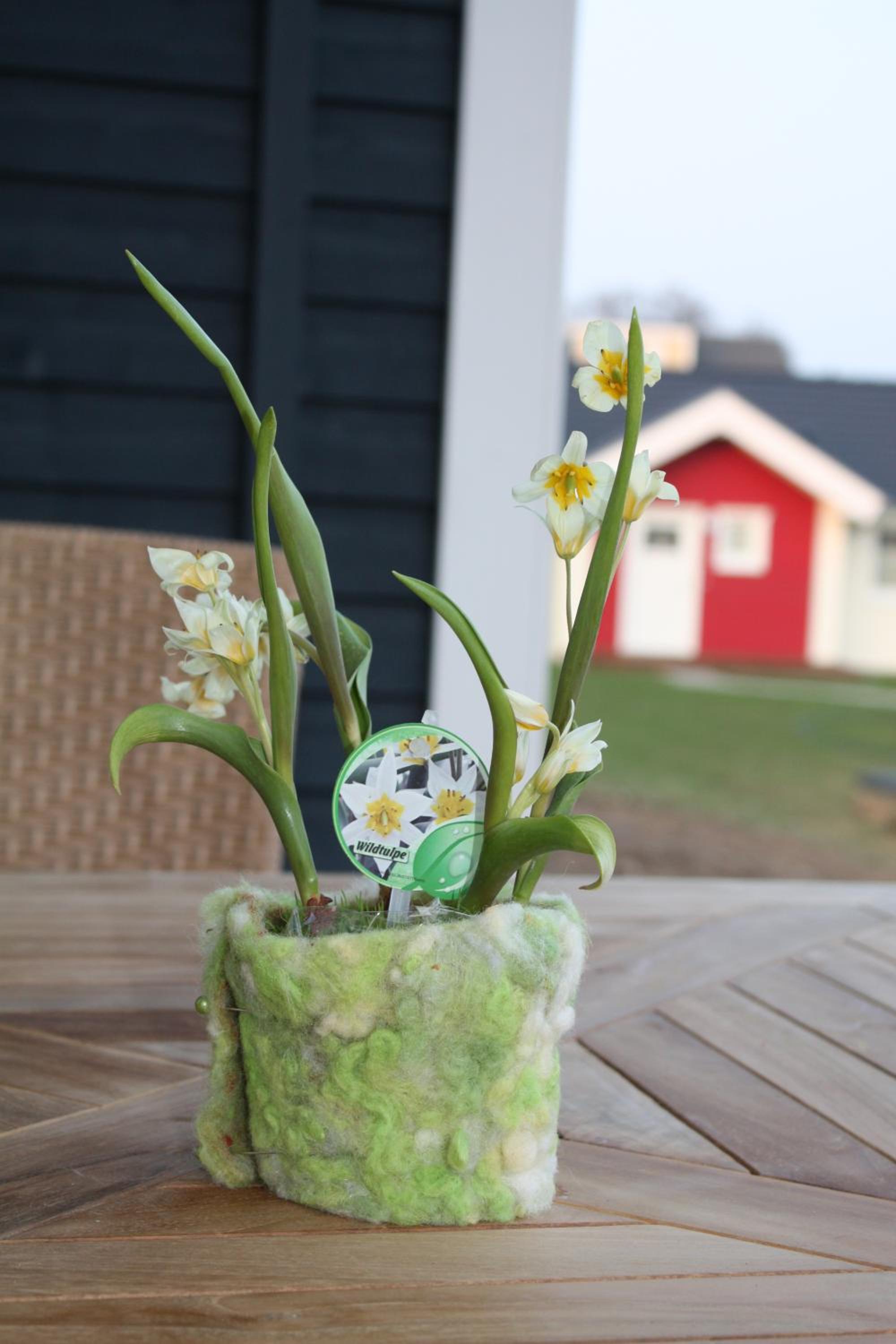 Ferienhaus Heimathafen view 2