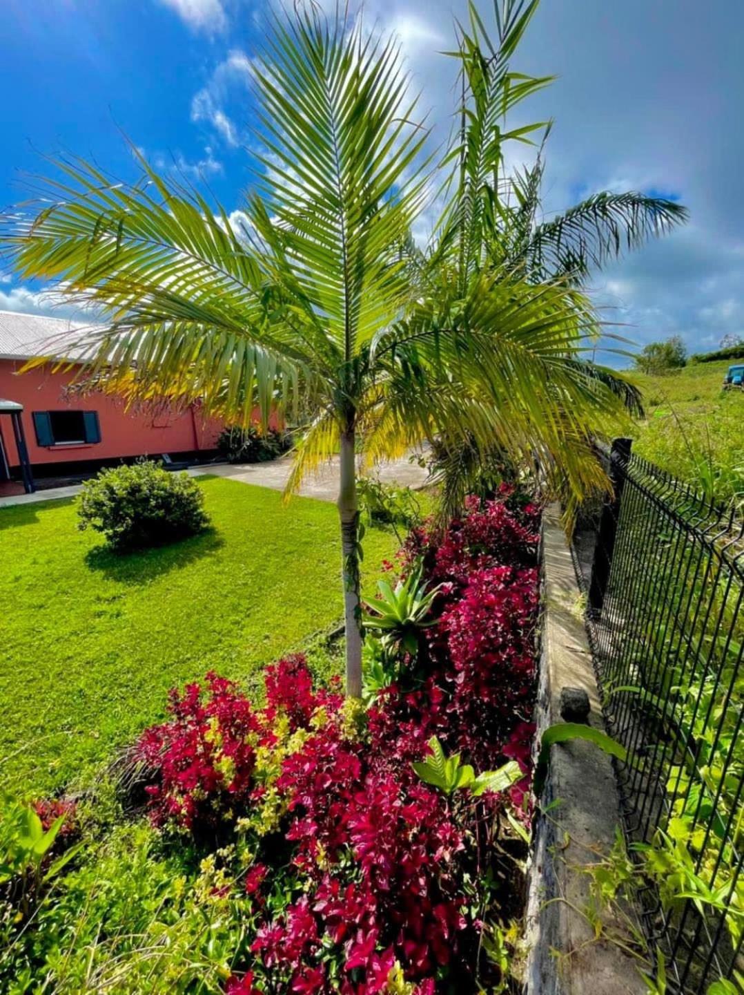 Villa Victoria