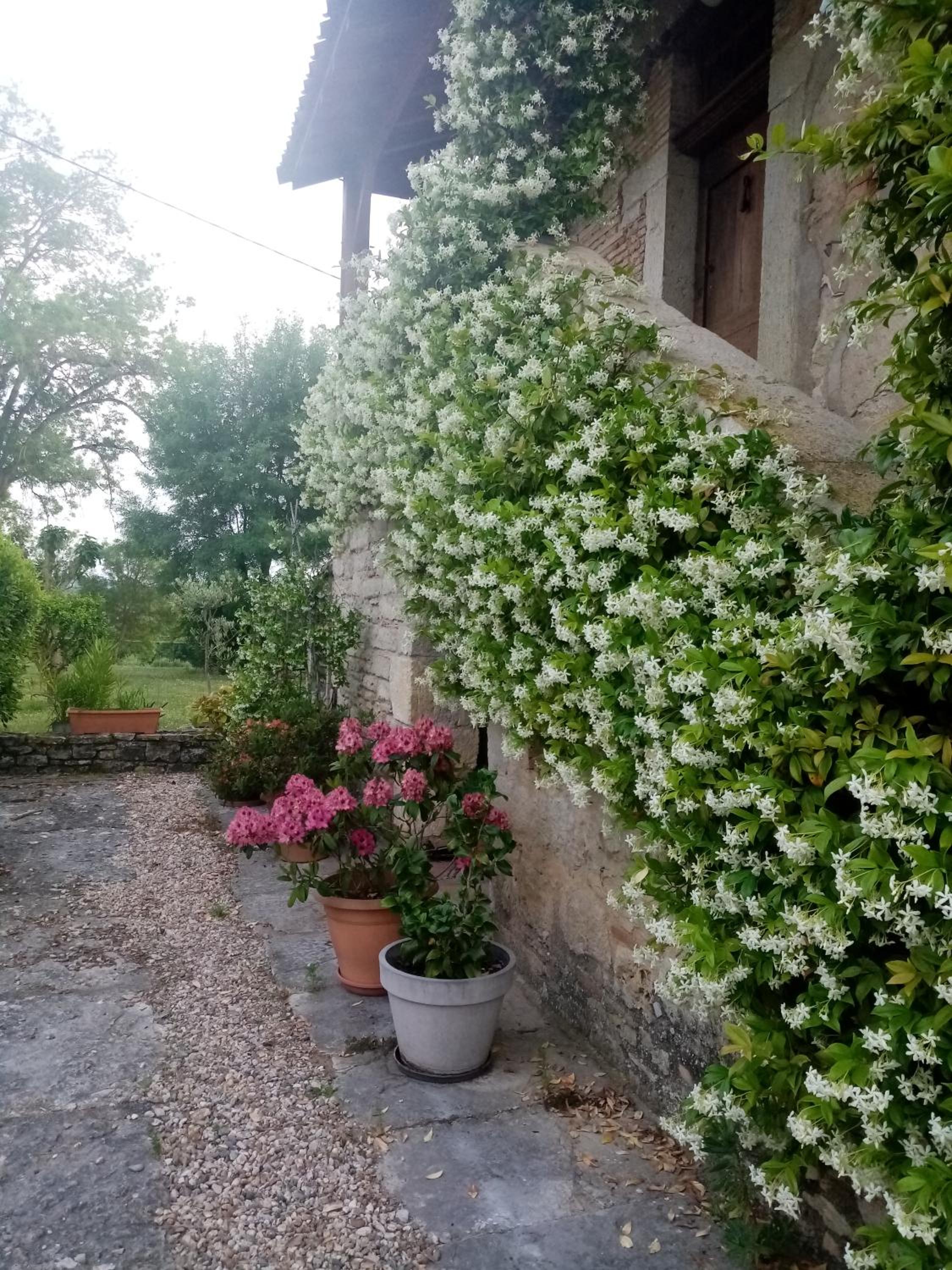La maison du pech, photo 4