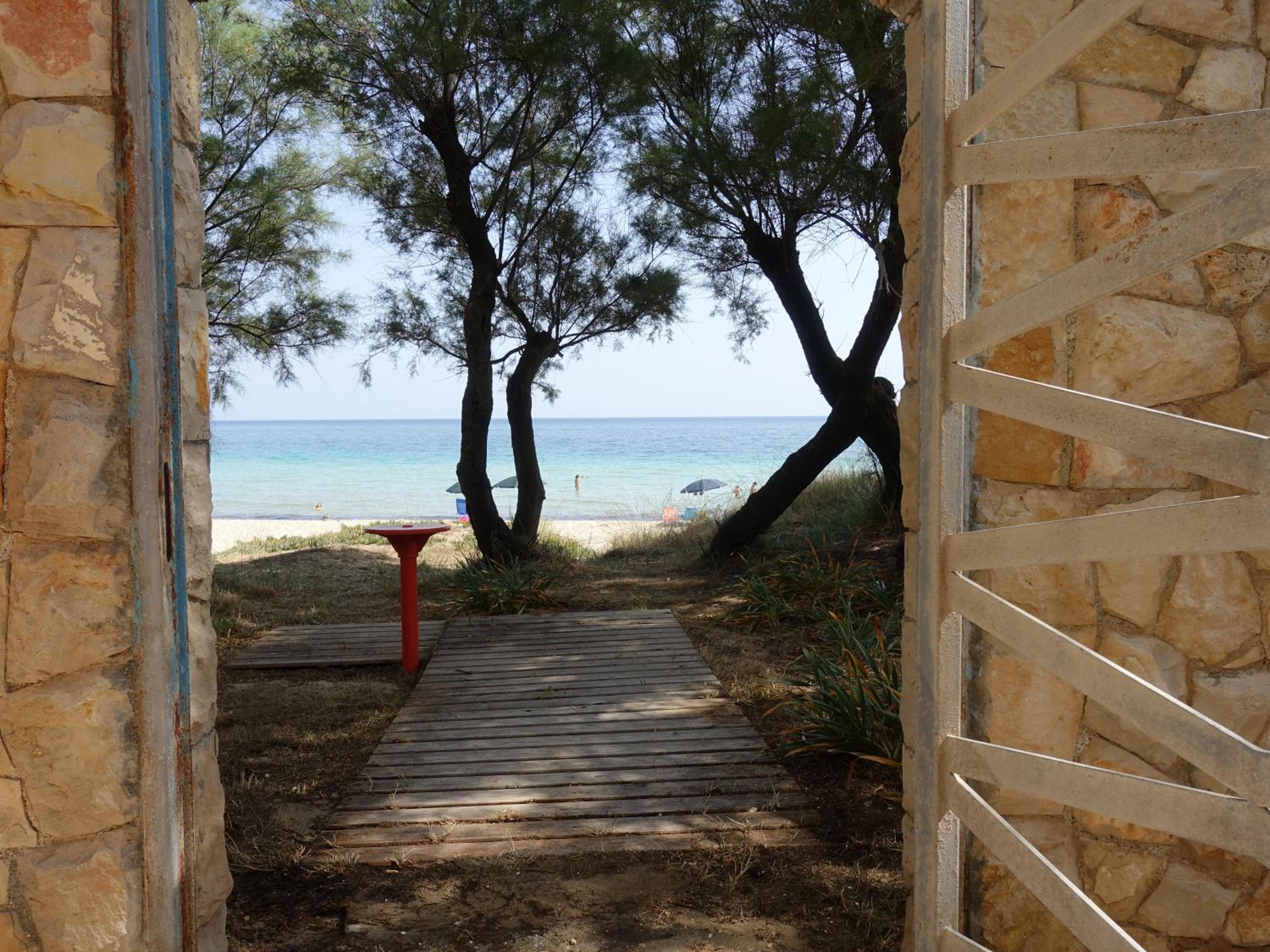 Photo 12
