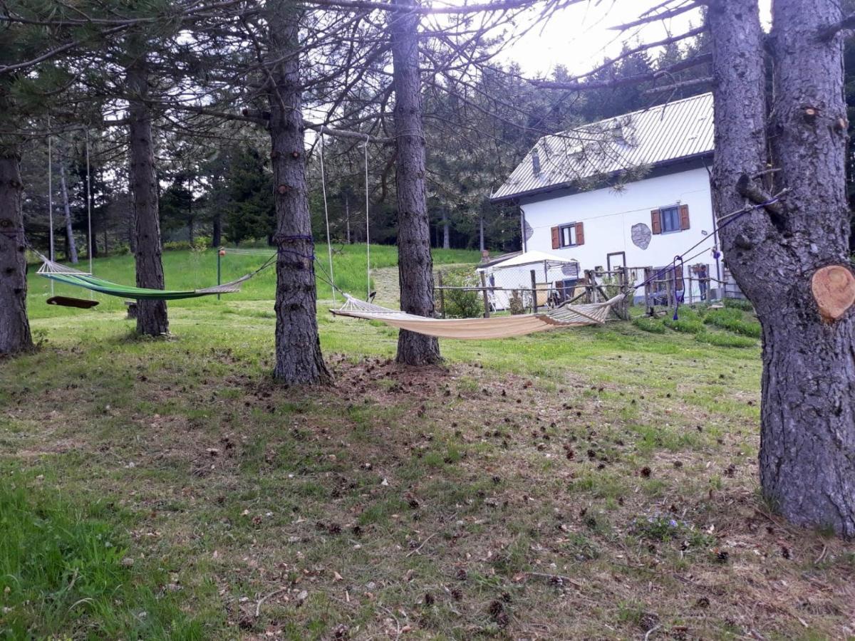 Photo 23