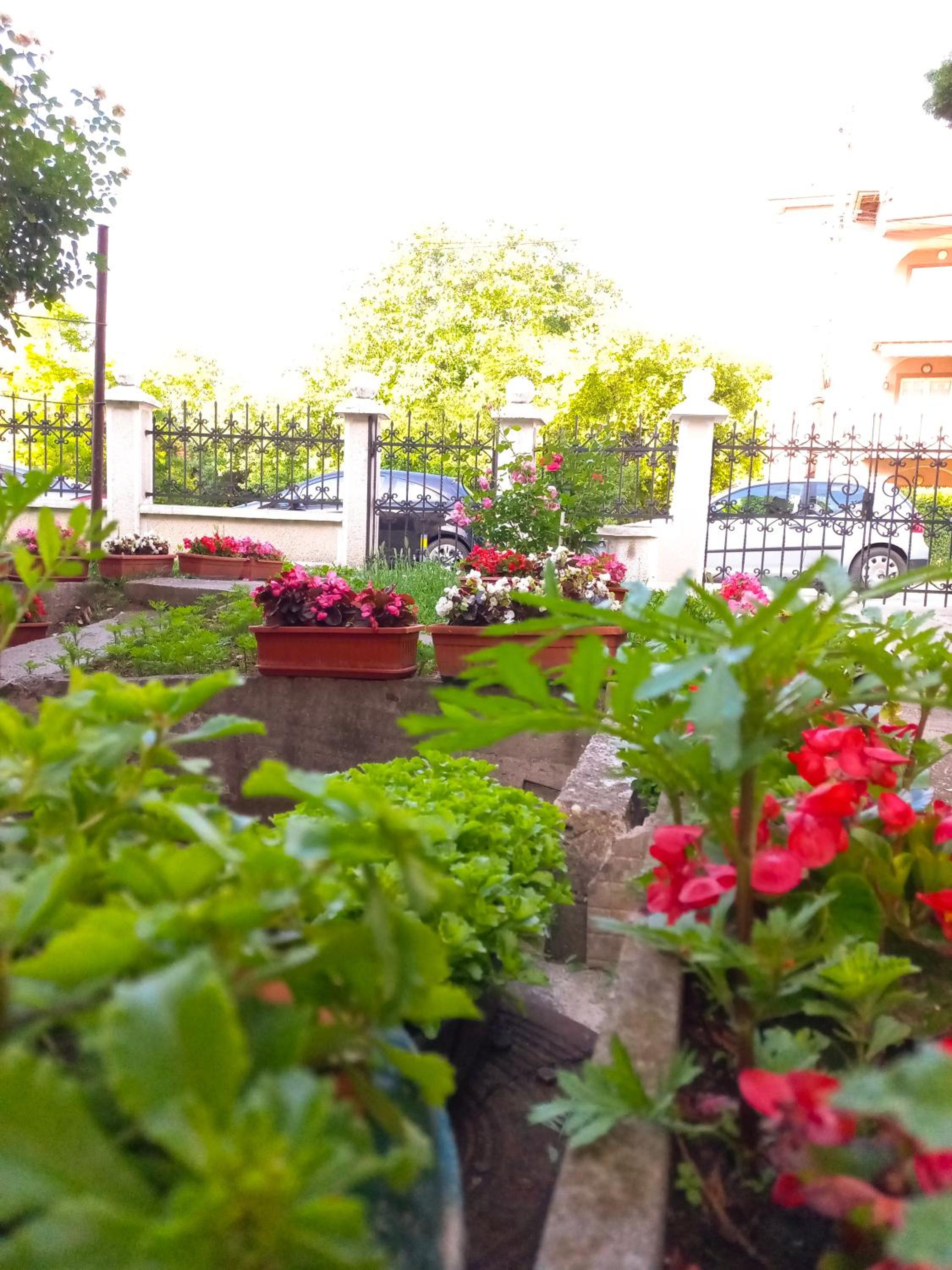 Photo 16