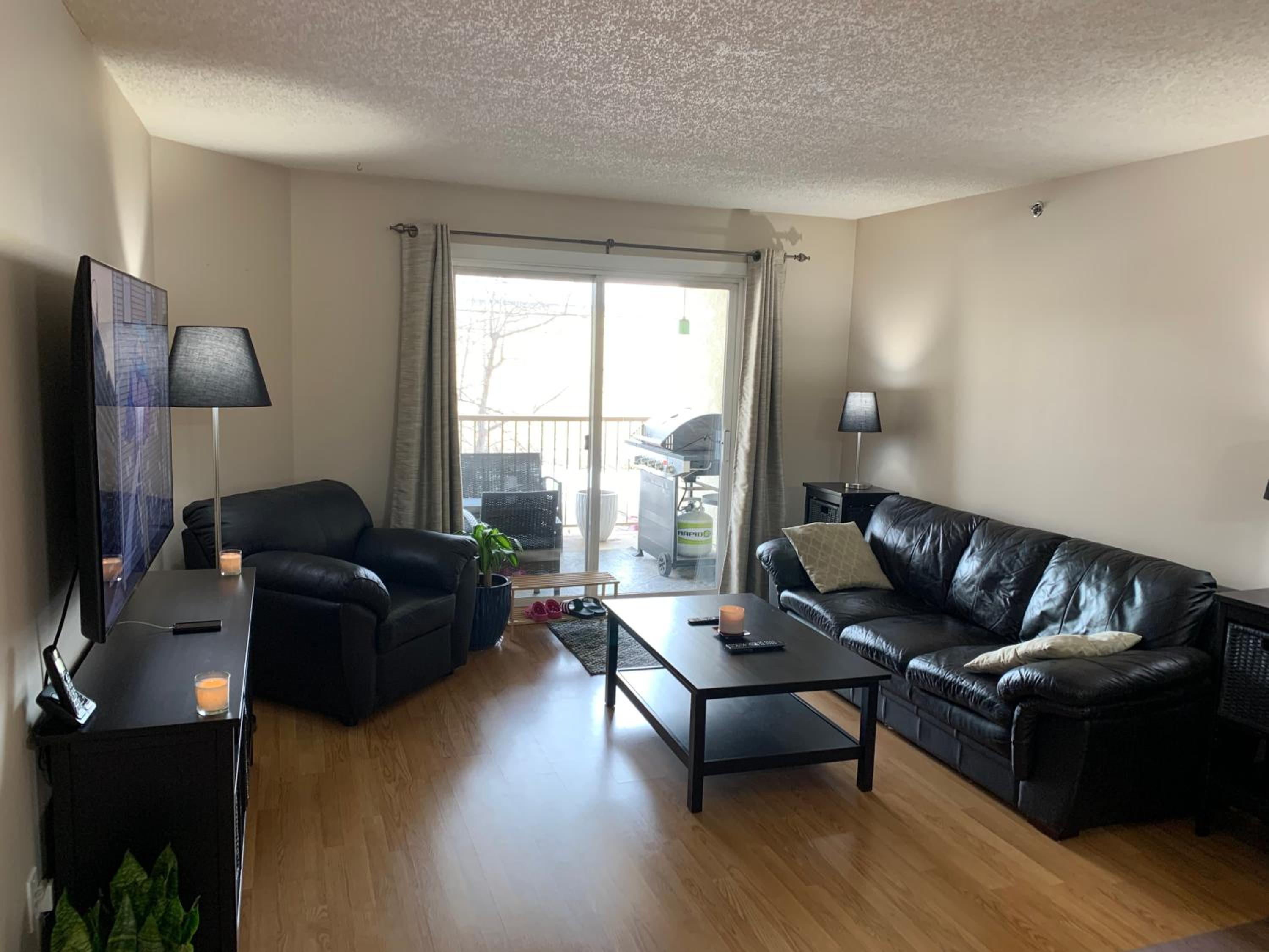 Chris Cozy Condo CW #205 Edmonton view 2