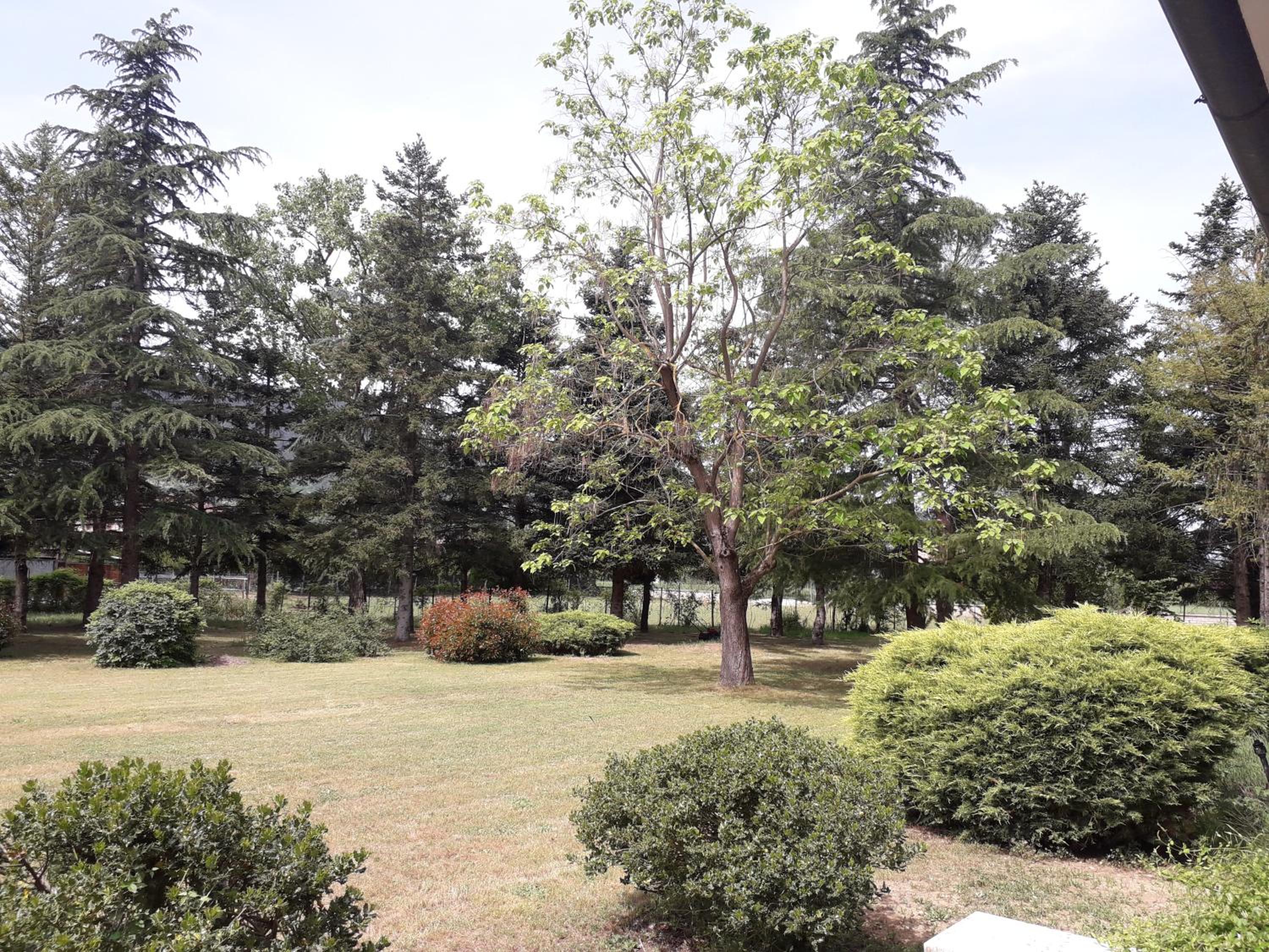 Casa Verde