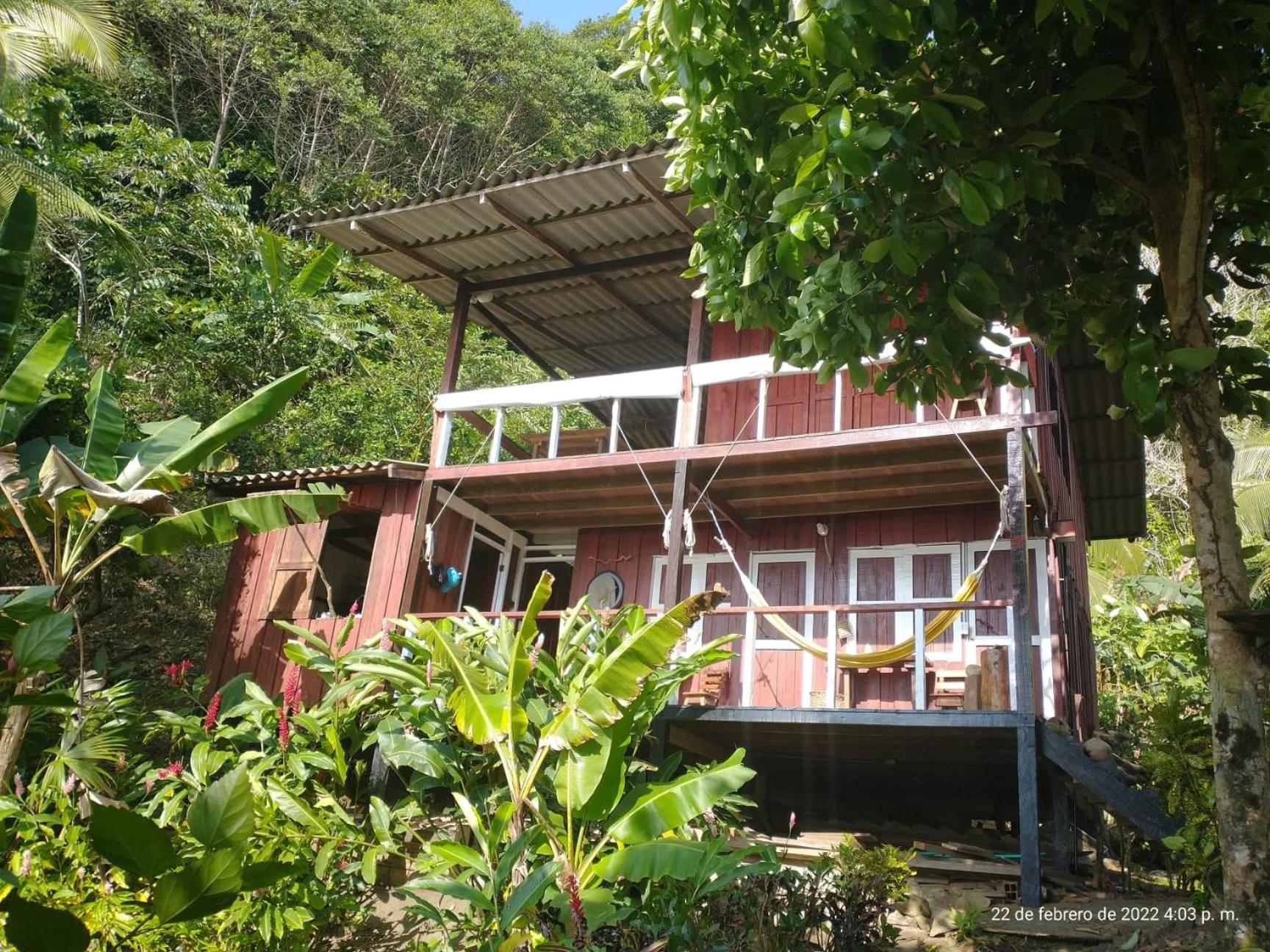 Photo 17