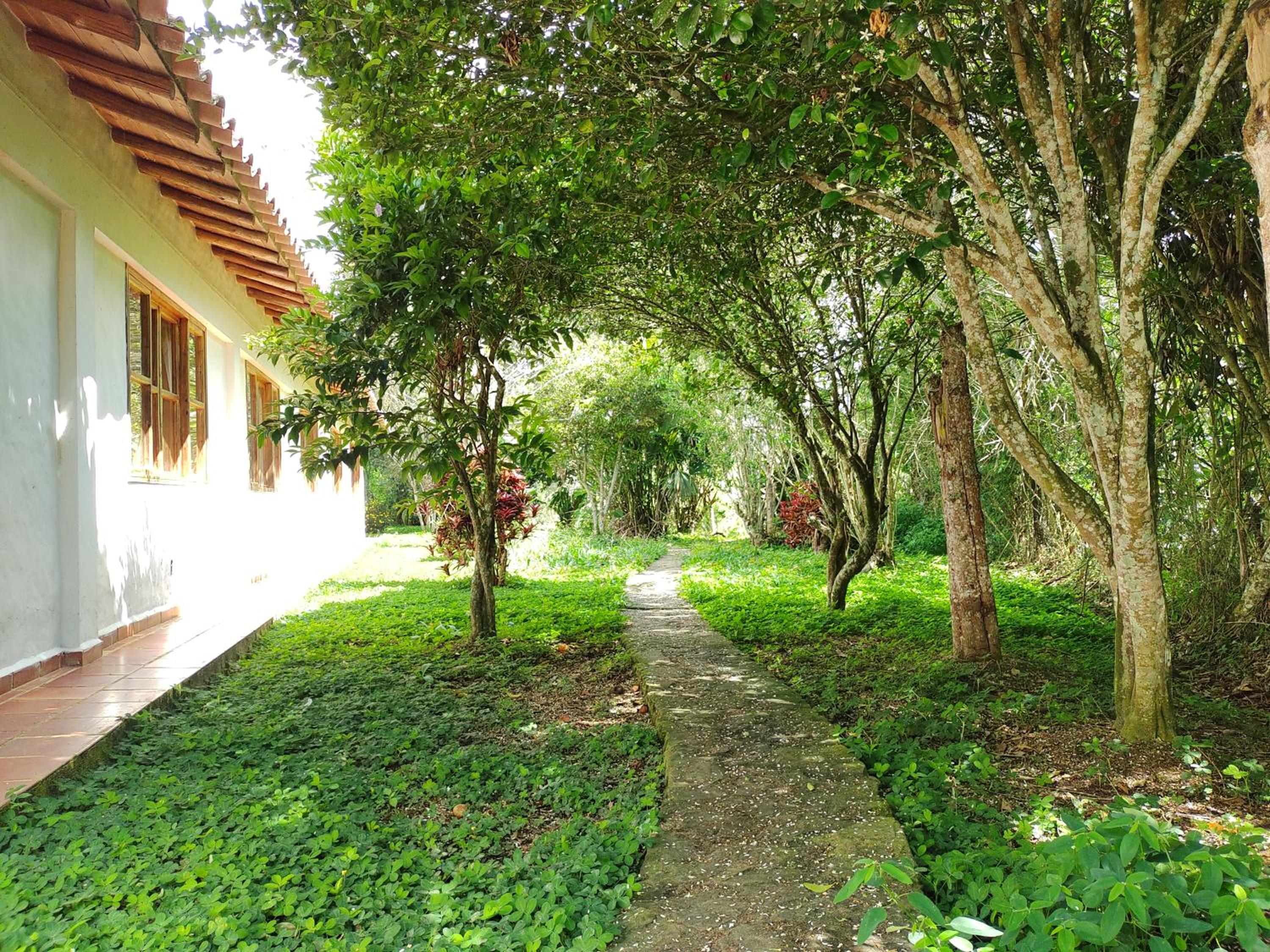 Photo 8