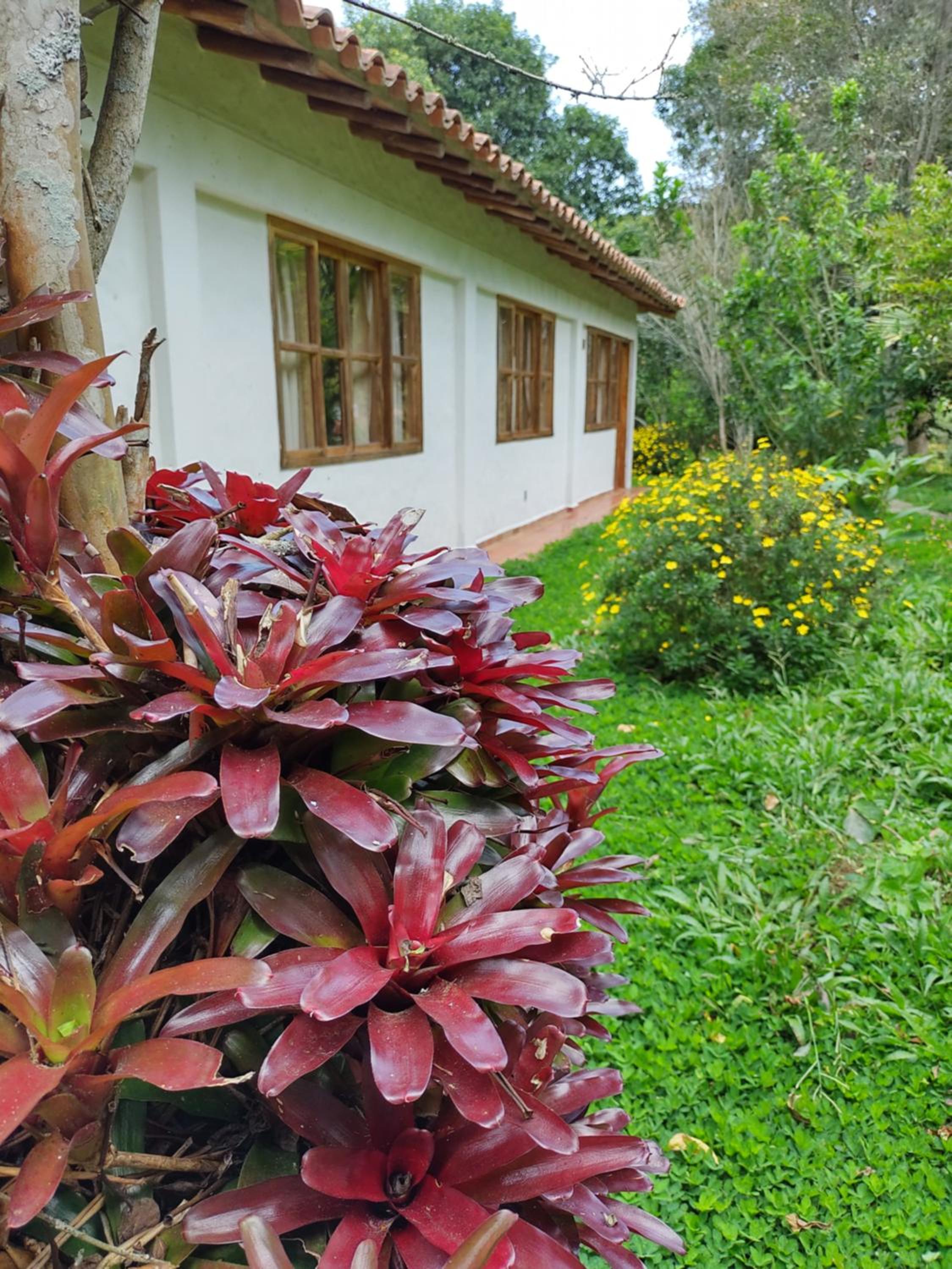 Hotel Ecoposada Viña de Aldana view 2