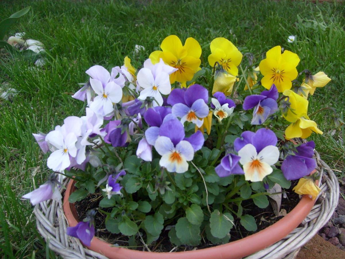 Photo 25
