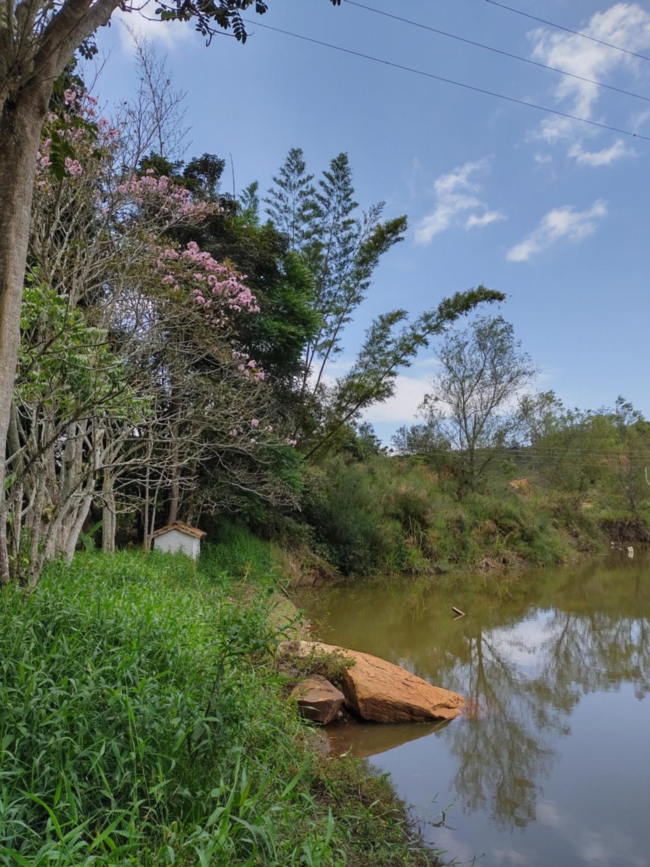 Hotel Ecoposada Viña de Aldana view 5