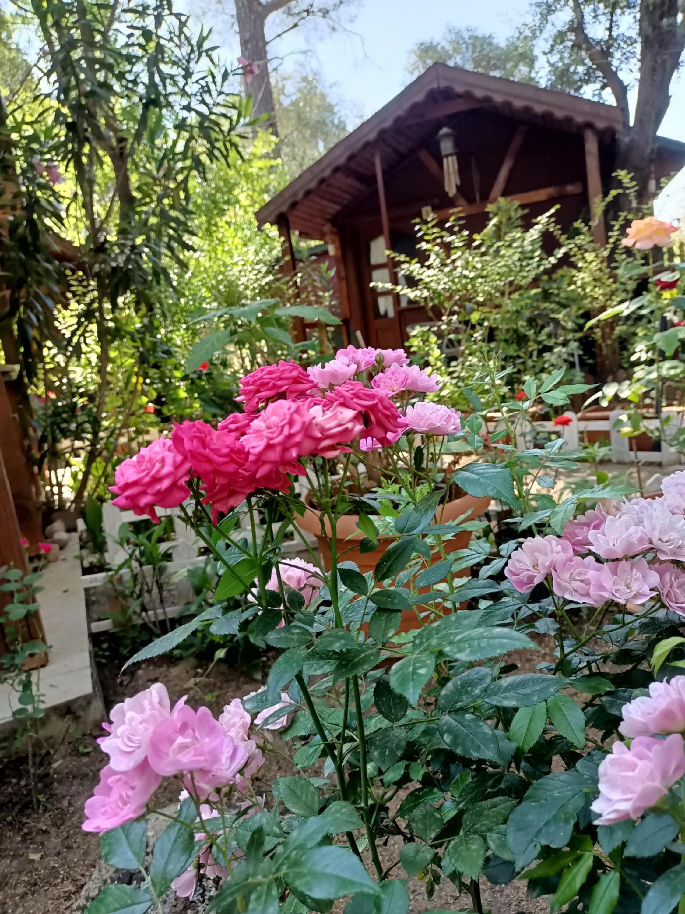 Canario Bungalows