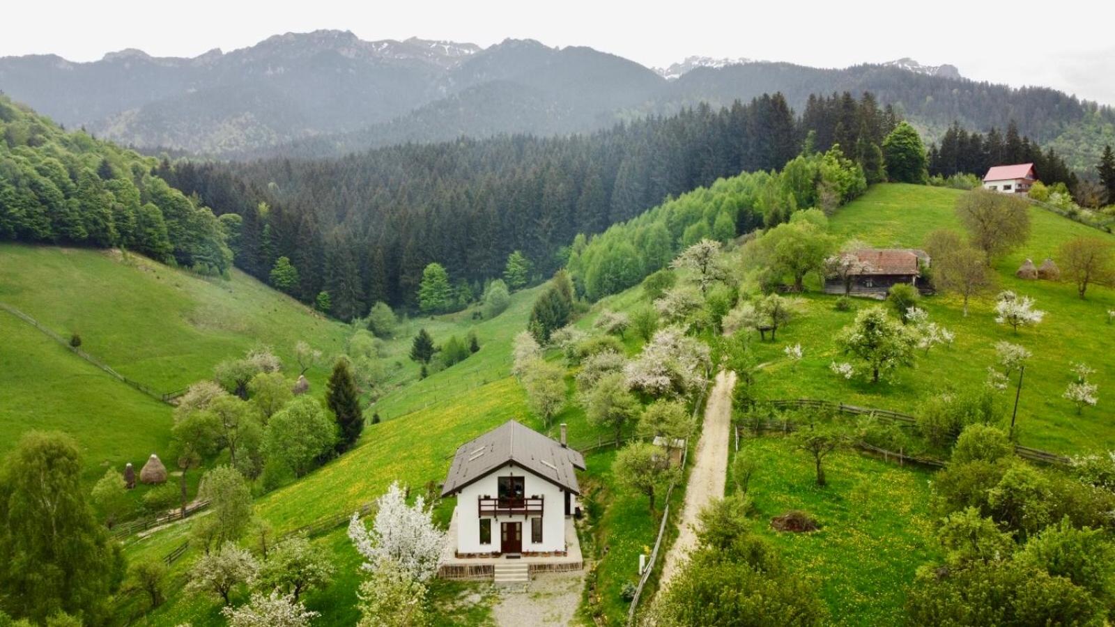 La Căsuță view 5
