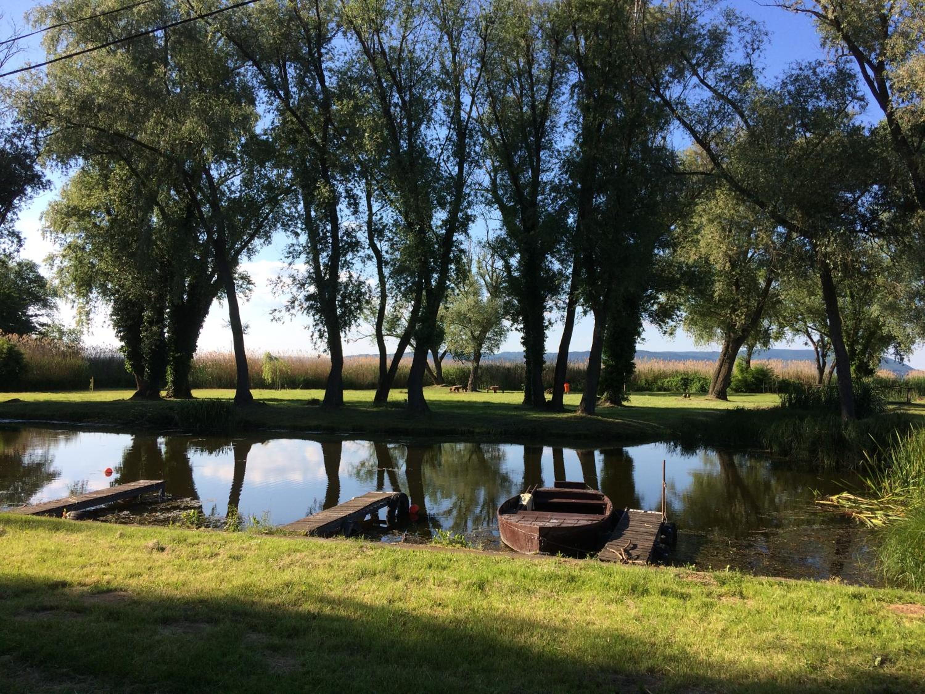 Photo 39