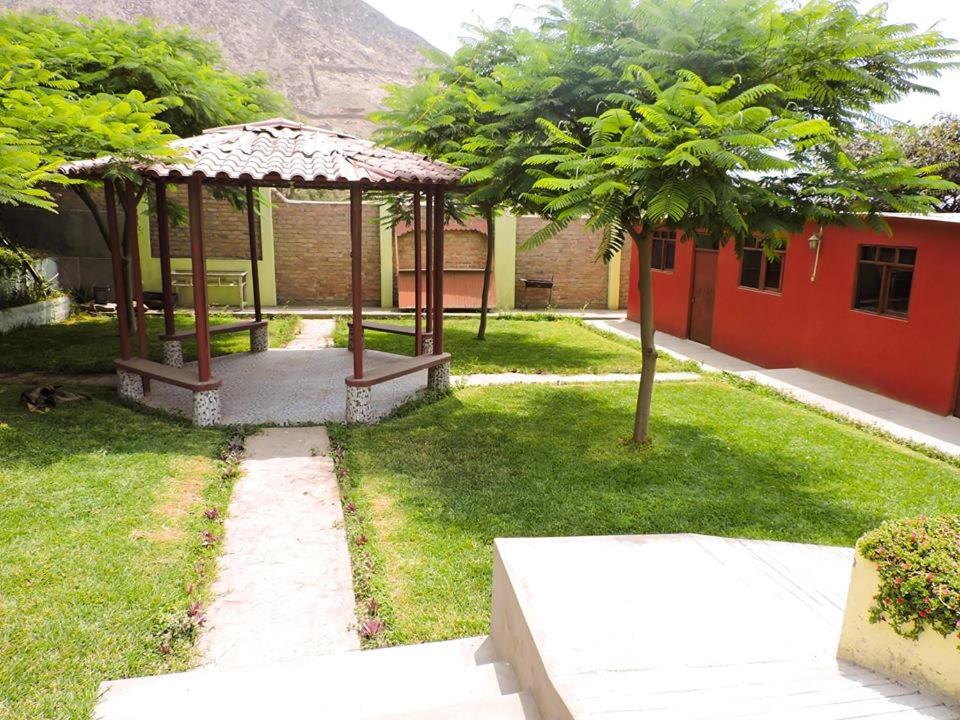 Photo 6