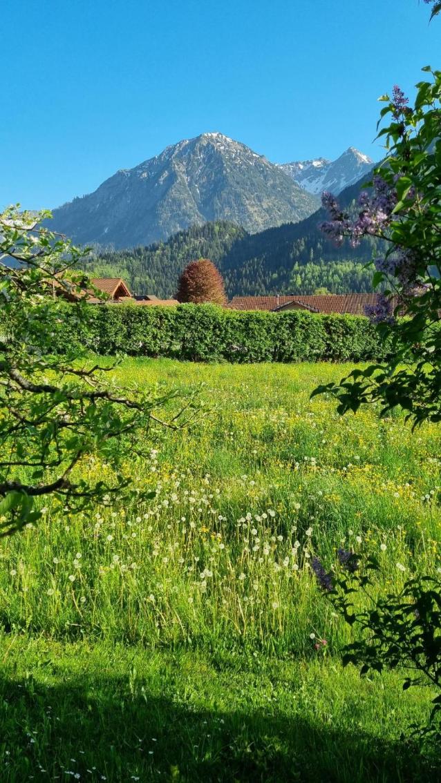 Landhaus Via Decia - Bad Hindelang PLUS Partner