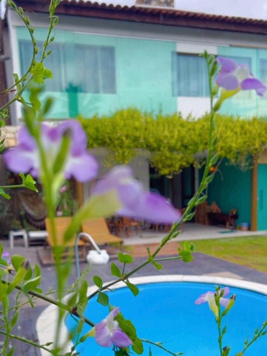 Hotel Pousada Palmeira Imperial