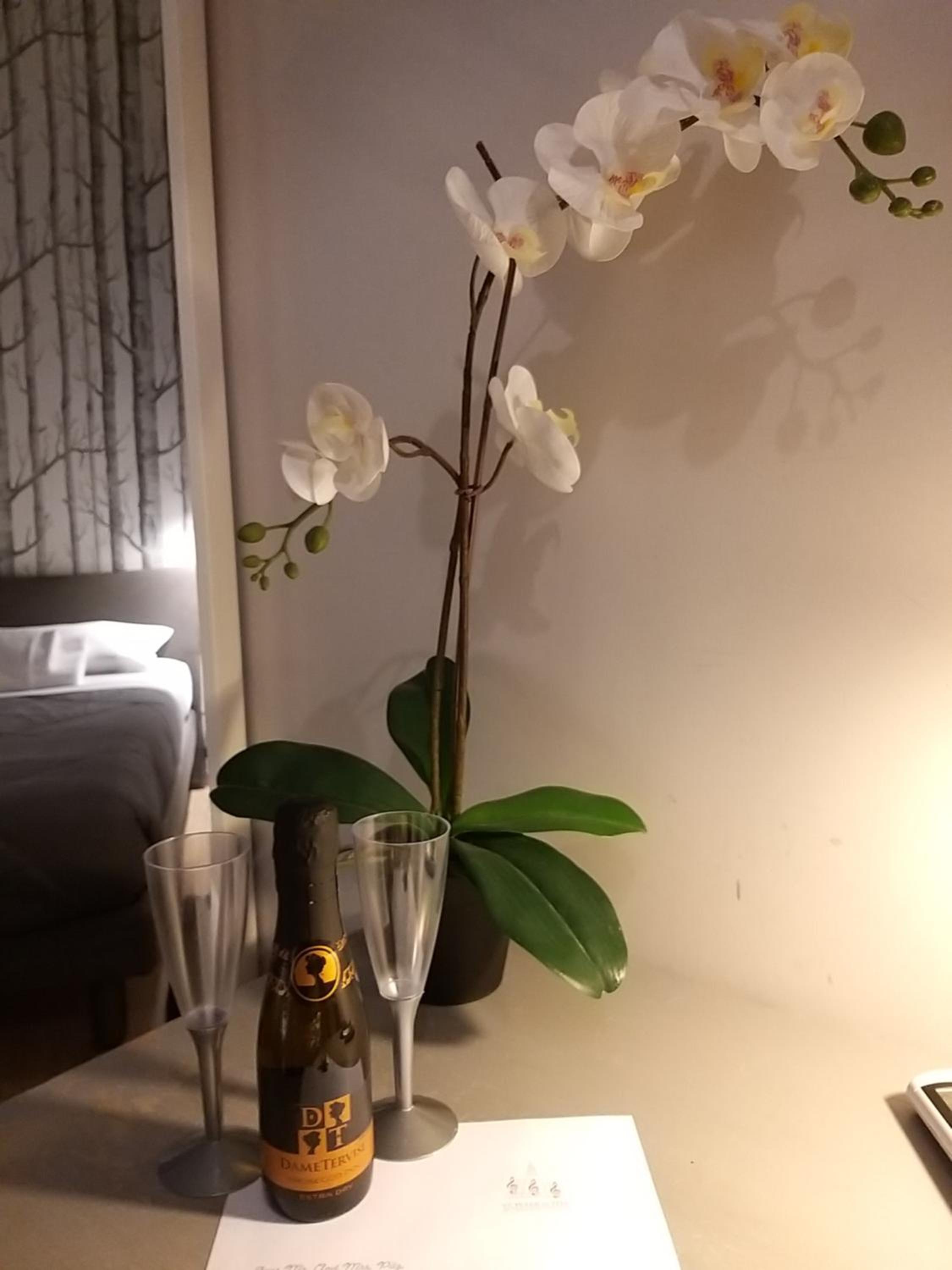 Velantia Vaticano - Guesthouse