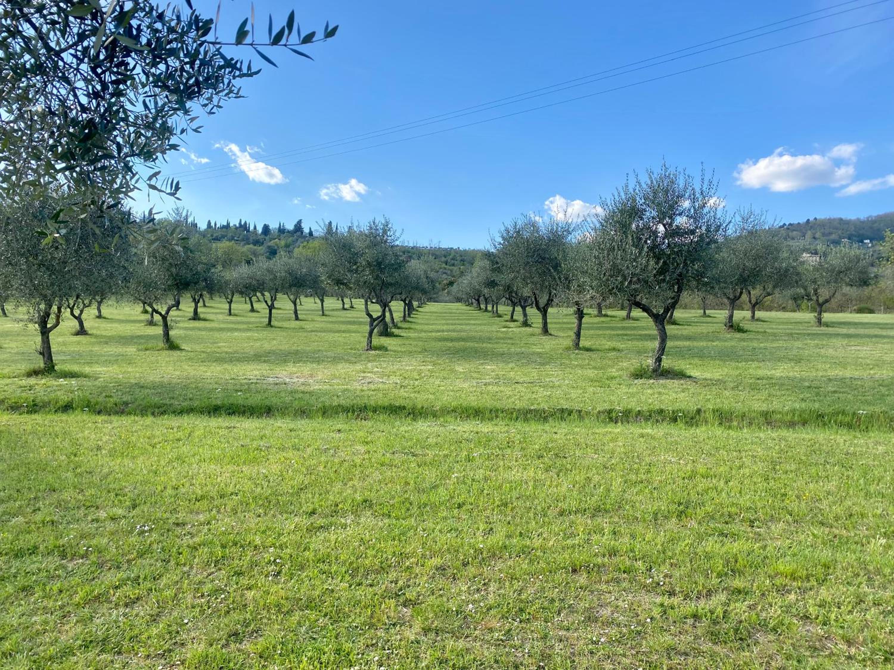 Podere Del Boscaccio
