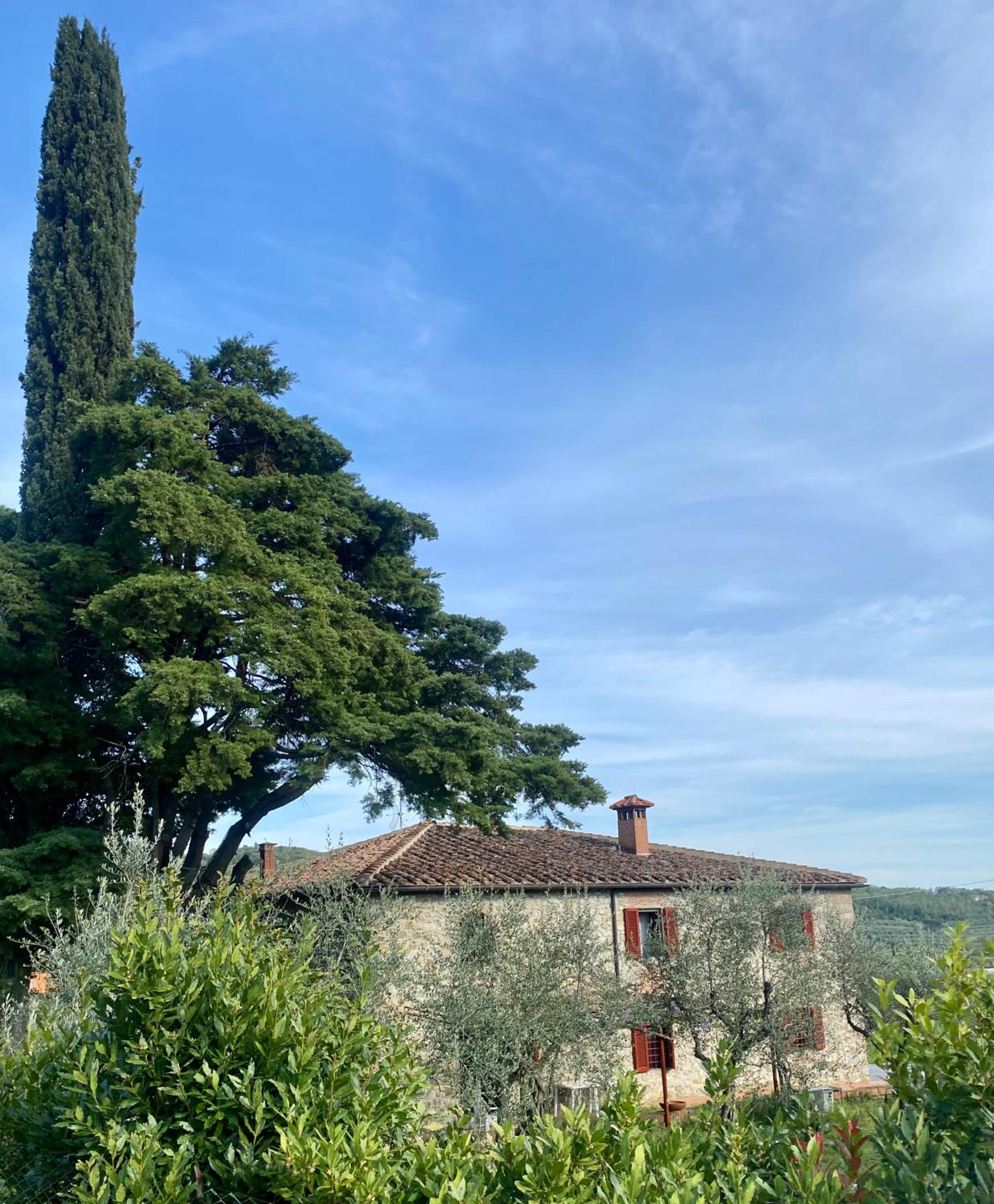 Podere Del Boscaccio