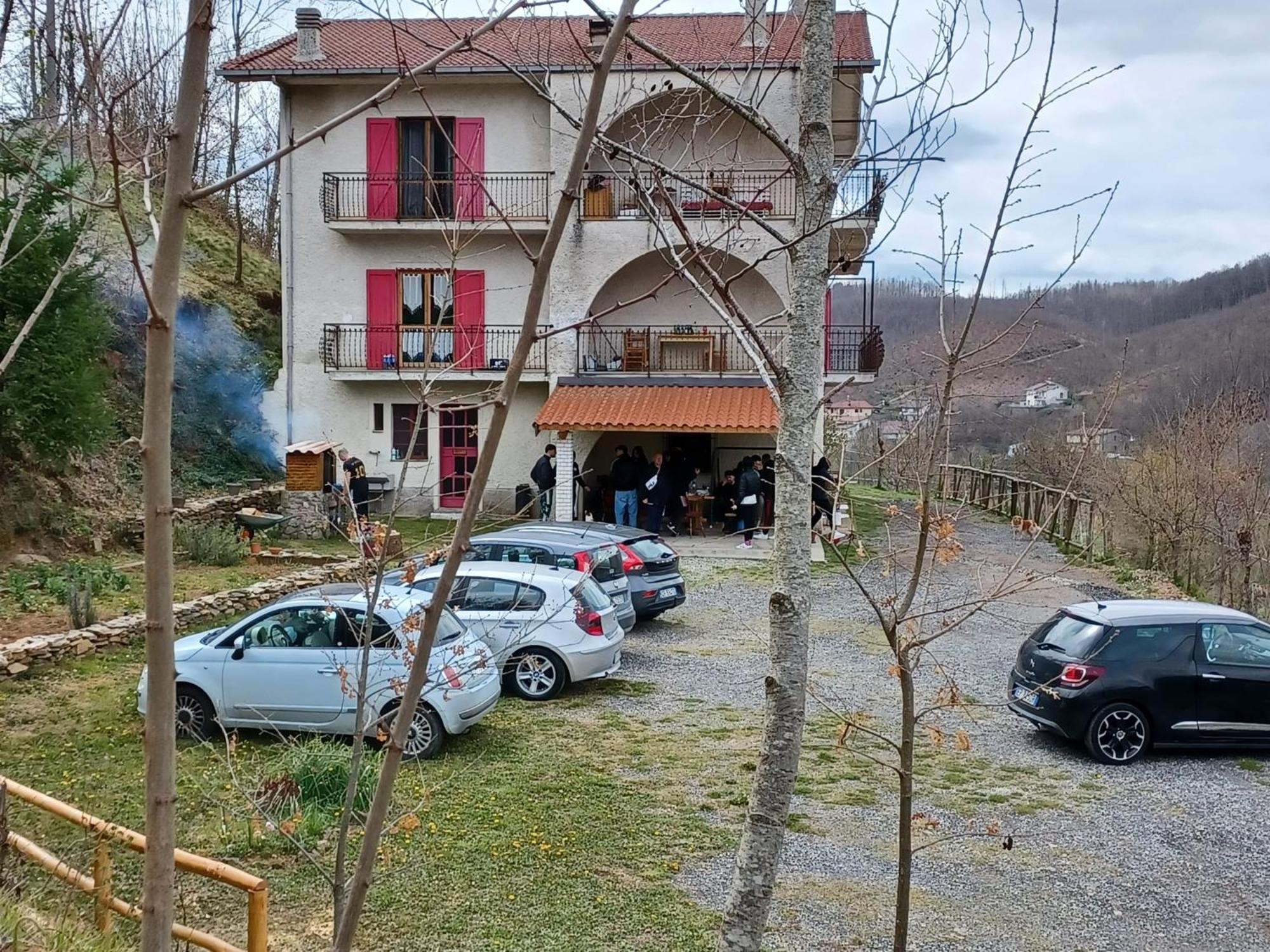 Photo 11