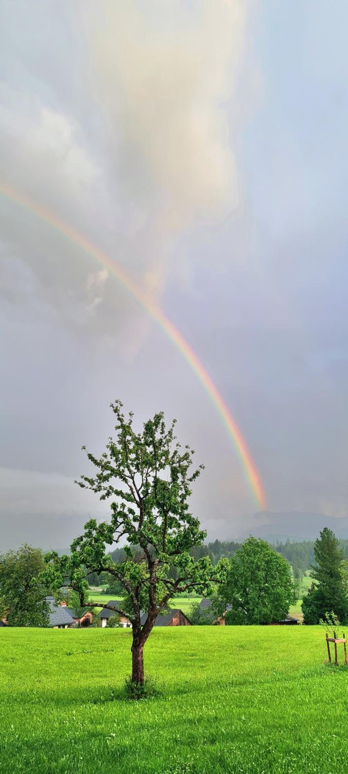 Ferienwohnungen Bergpanorama
