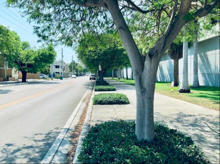 Apartments in the Heart of Miami - Port of Miami / Miami Airport
