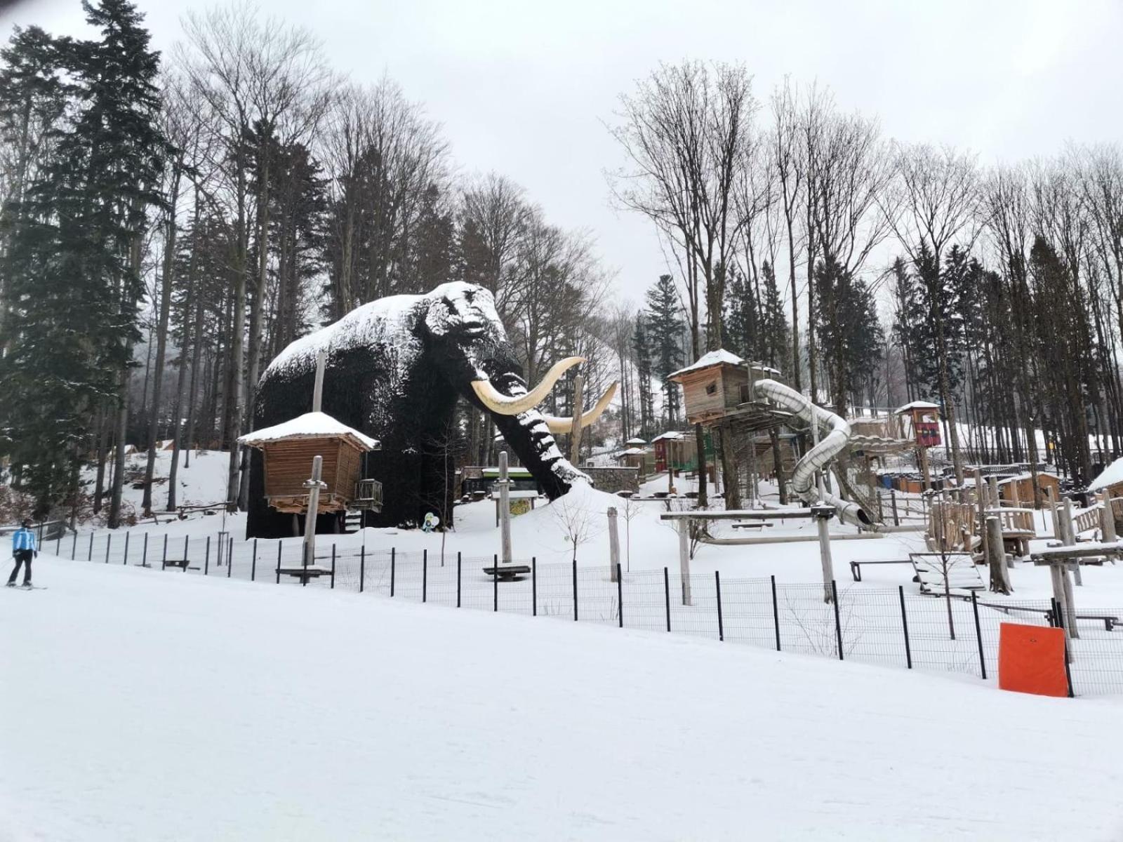 Apartmán Pod sjezdovkami
