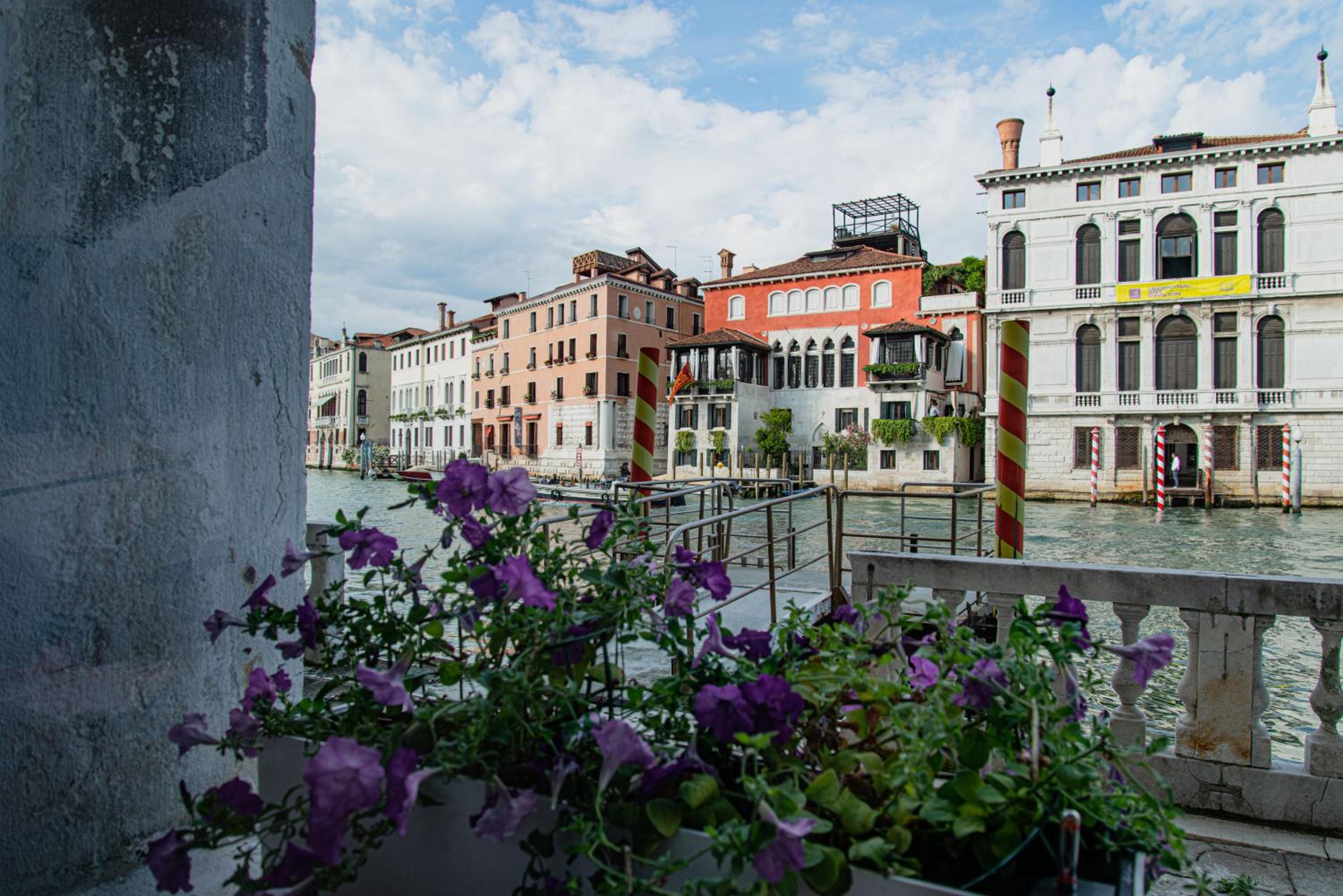 Luxury on the Gran Canal with wonderful view