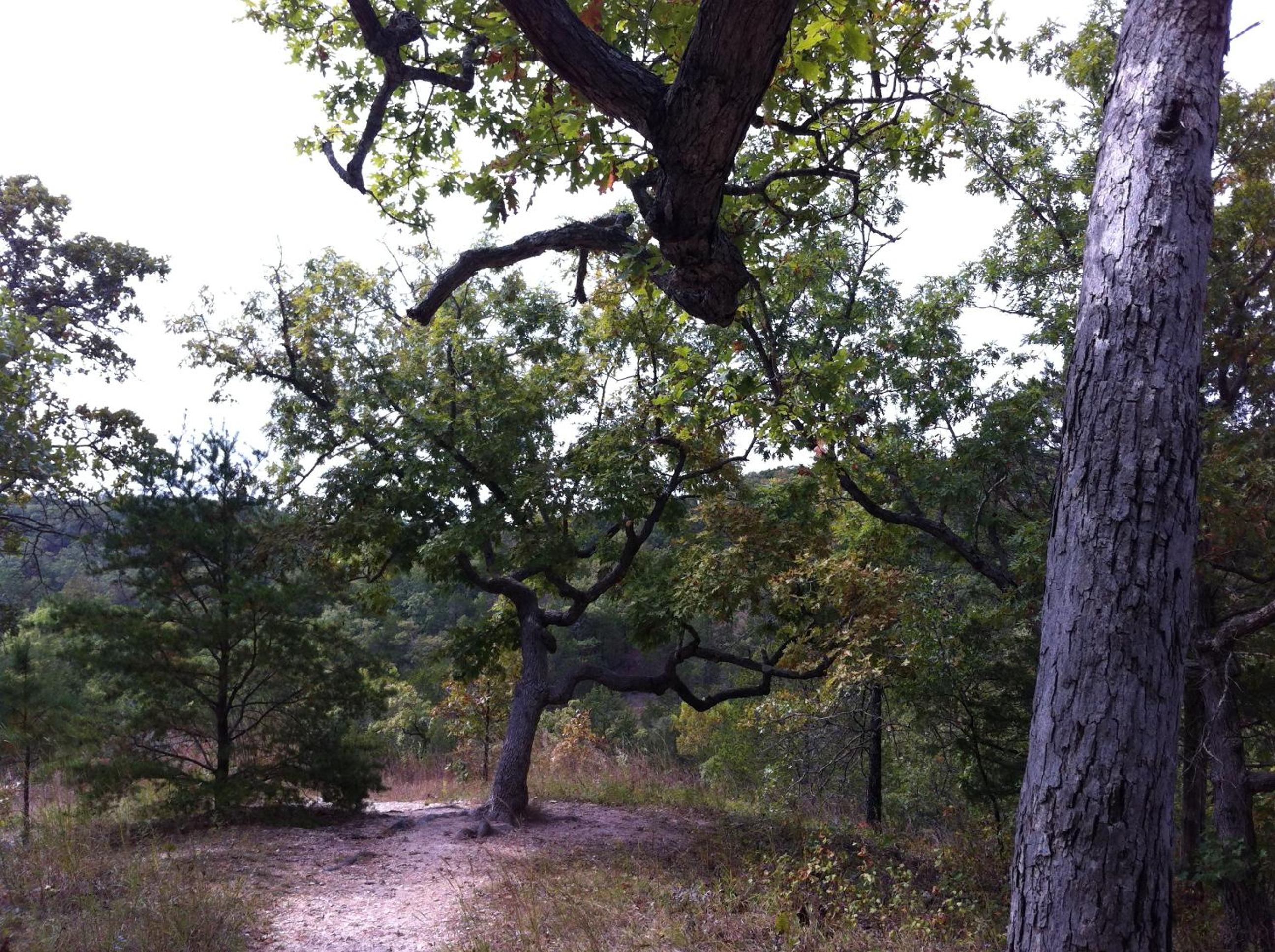 Photo 46
