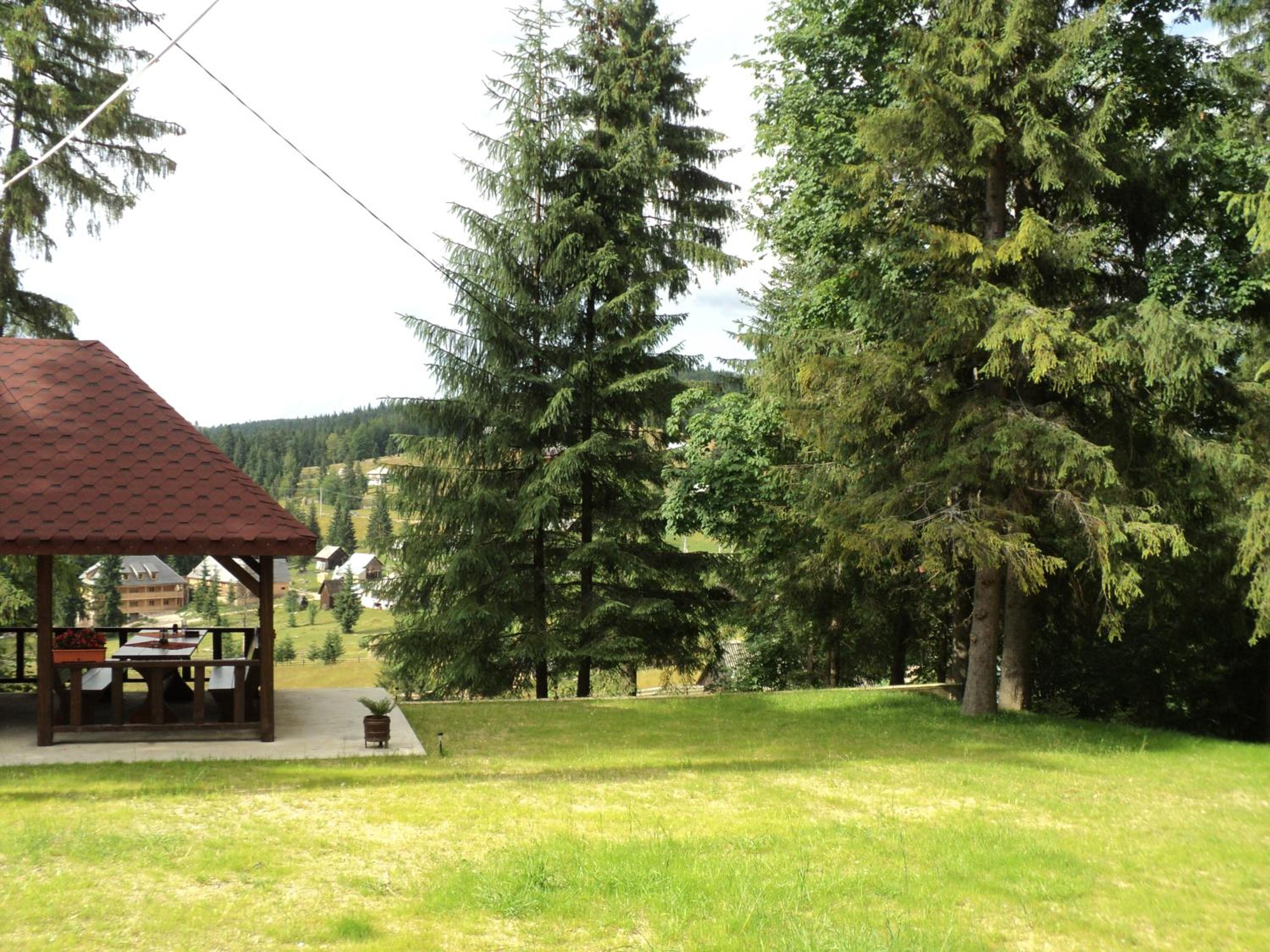 Photo 27