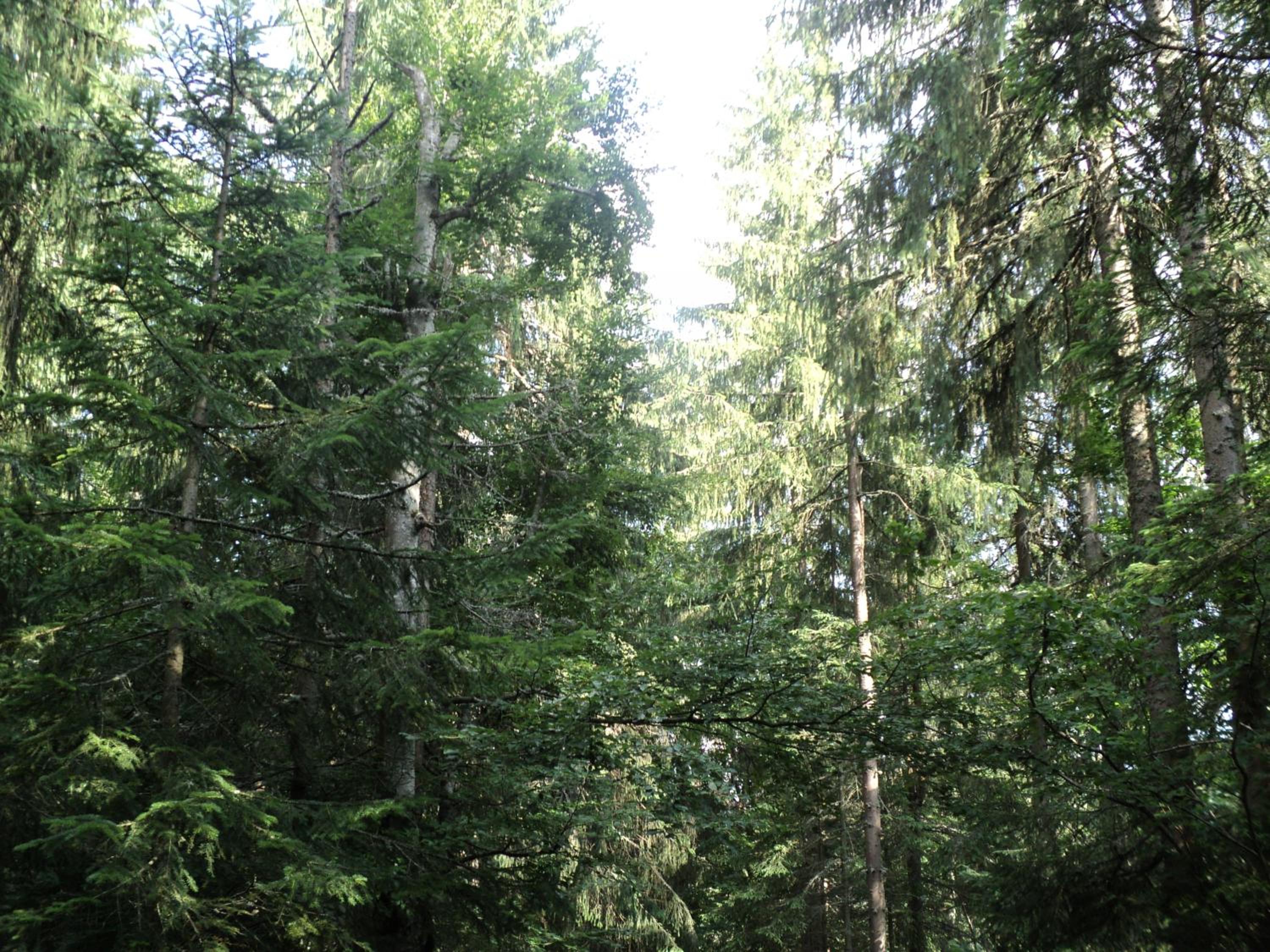 Photo 30