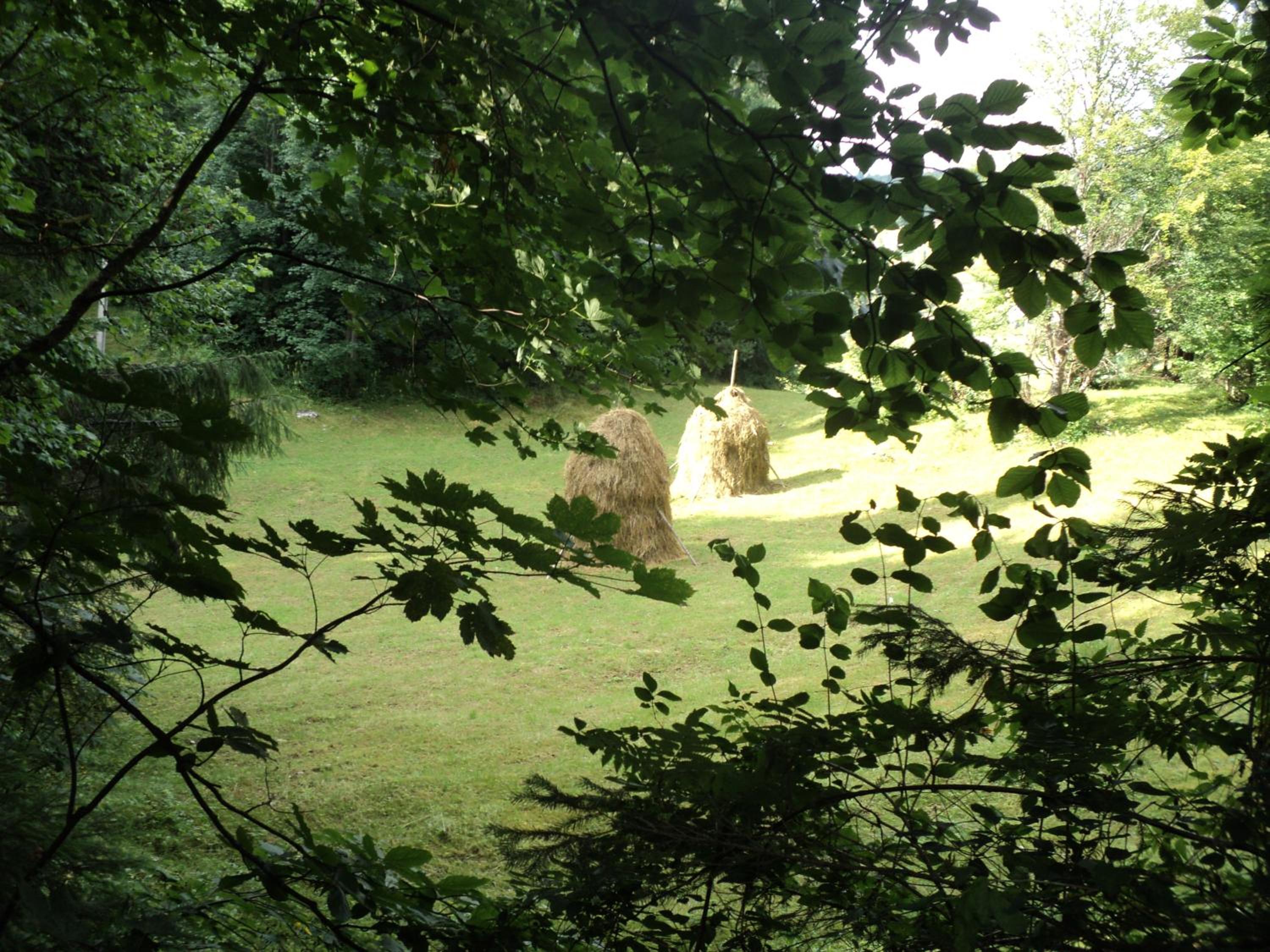 Photo 48
