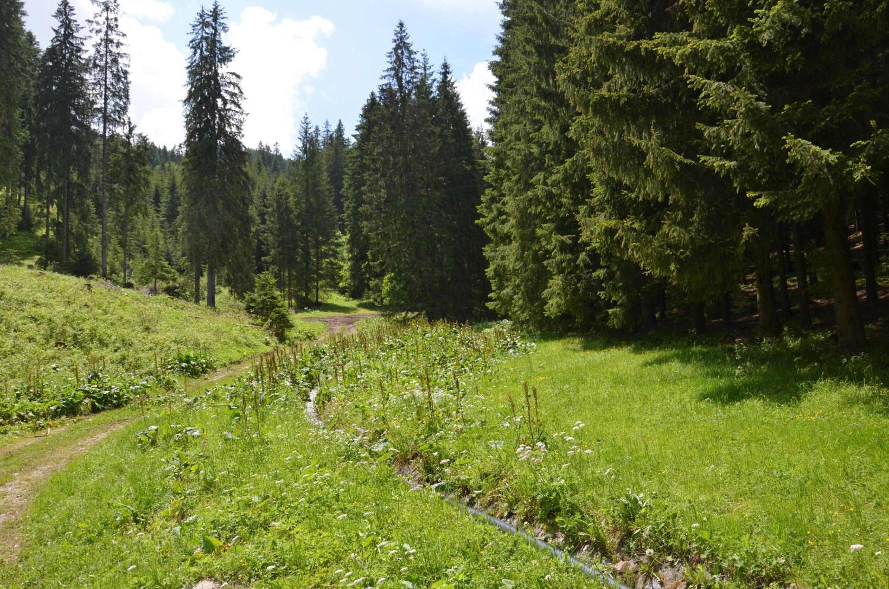 Byt Staré koliesko, Jasná, Demänovská Dolina view 3