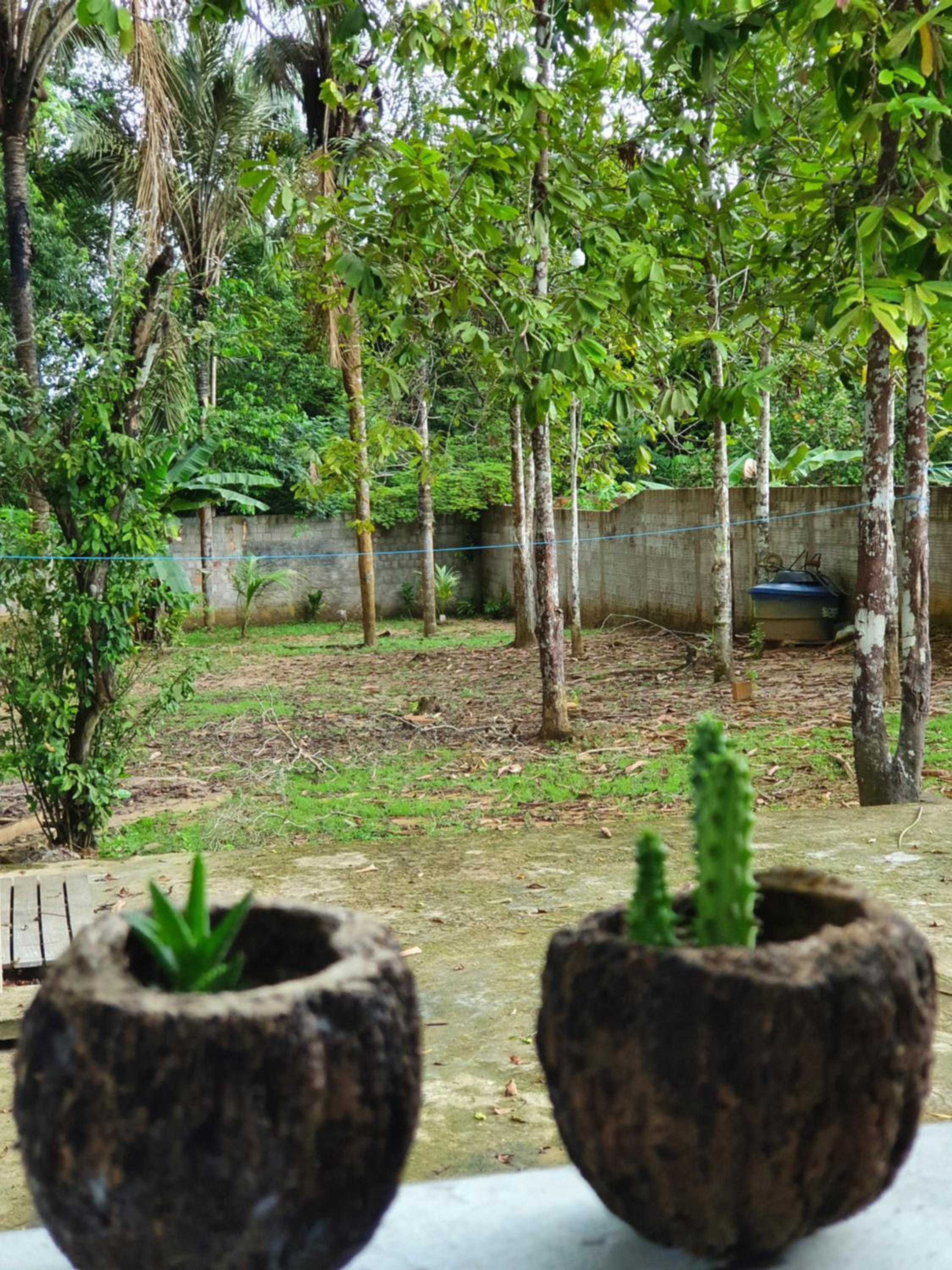 Casa Apuaú