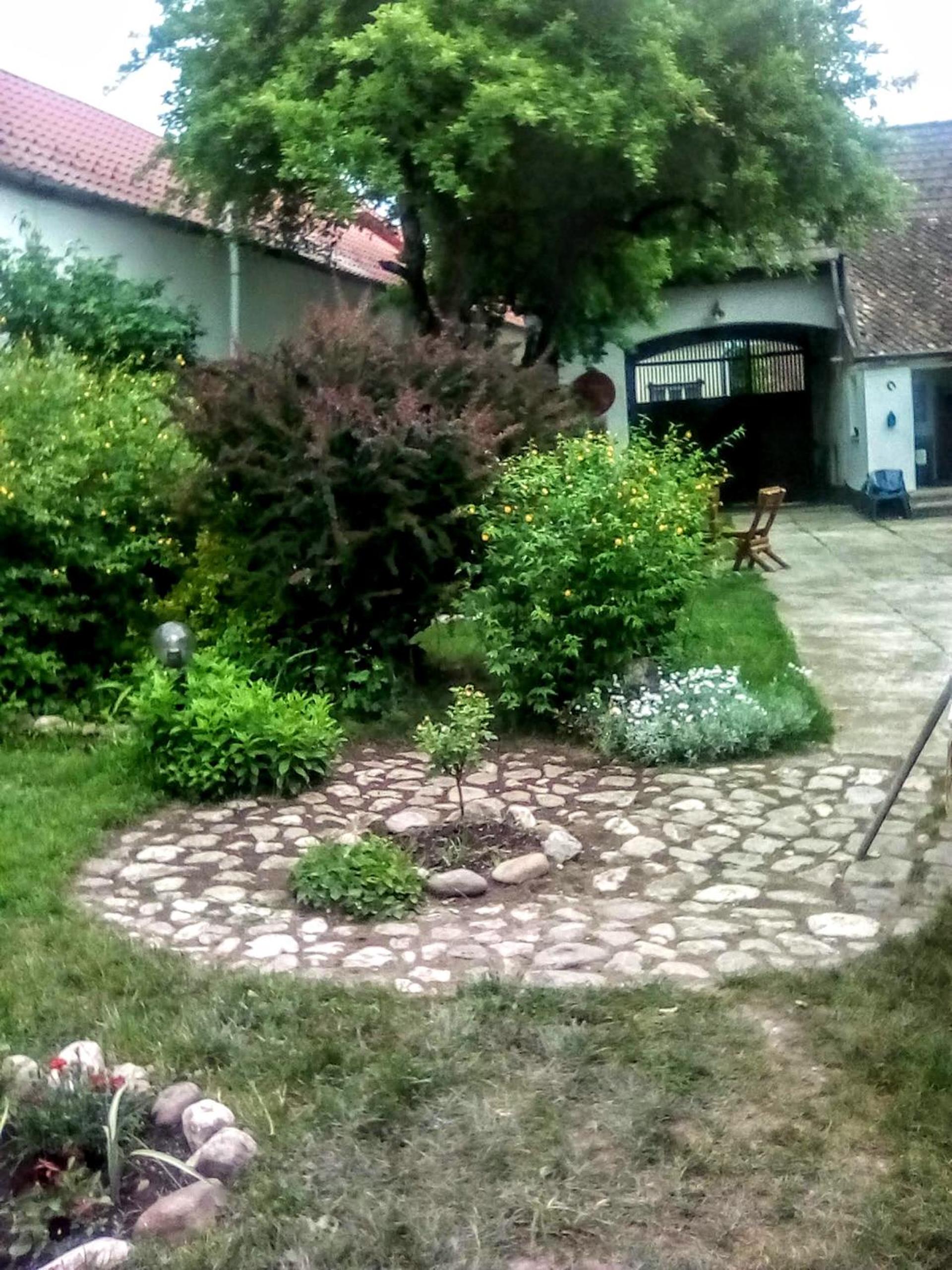 Photo 16