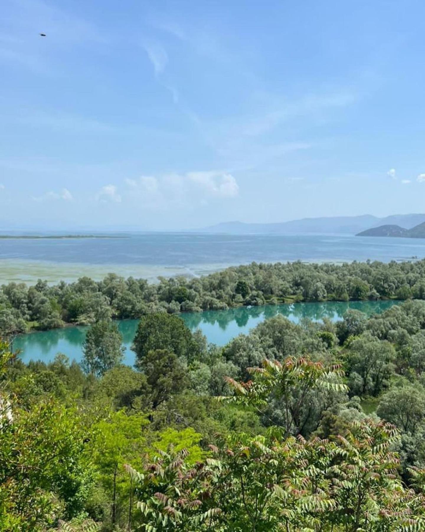 Luxury House Petrovic - Vranjina Skadar Lake view 5