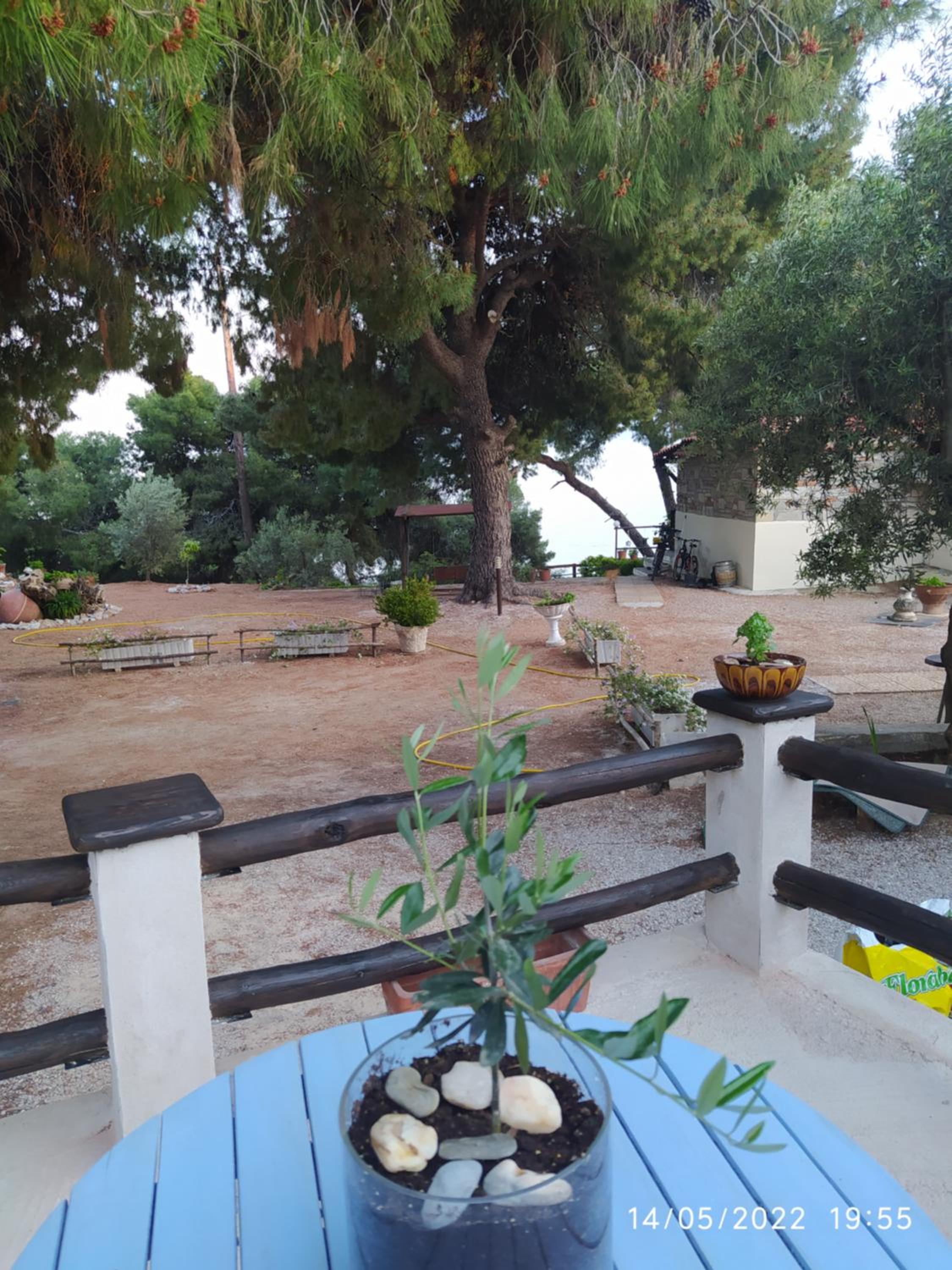 Pefkonas apartments2 100 m from the beach view 4