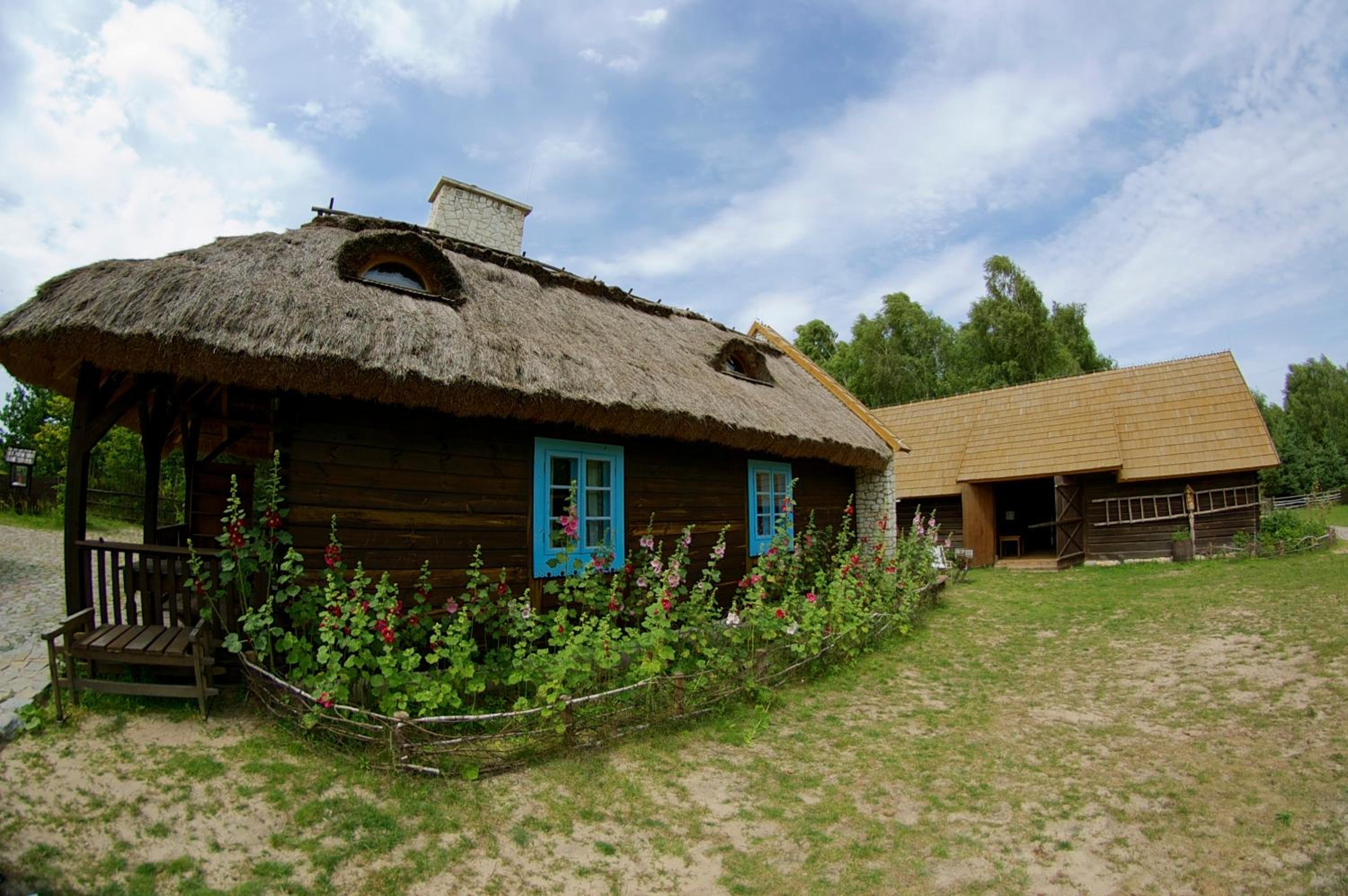 Photo 17