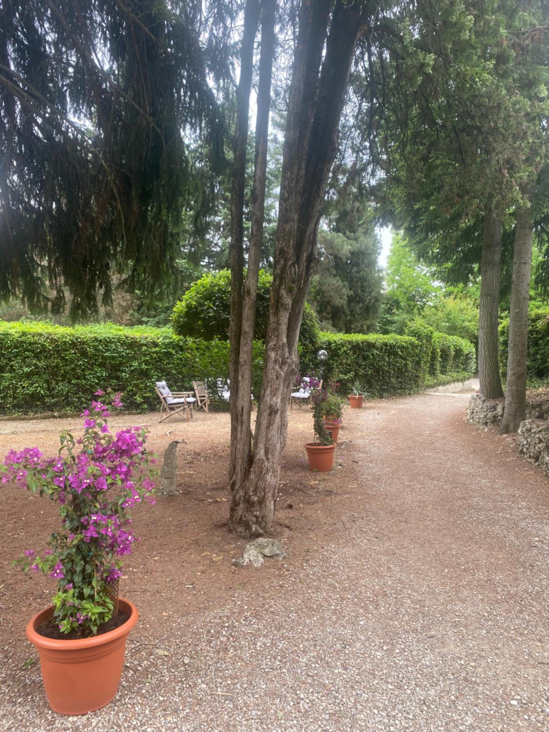 Villa Zara