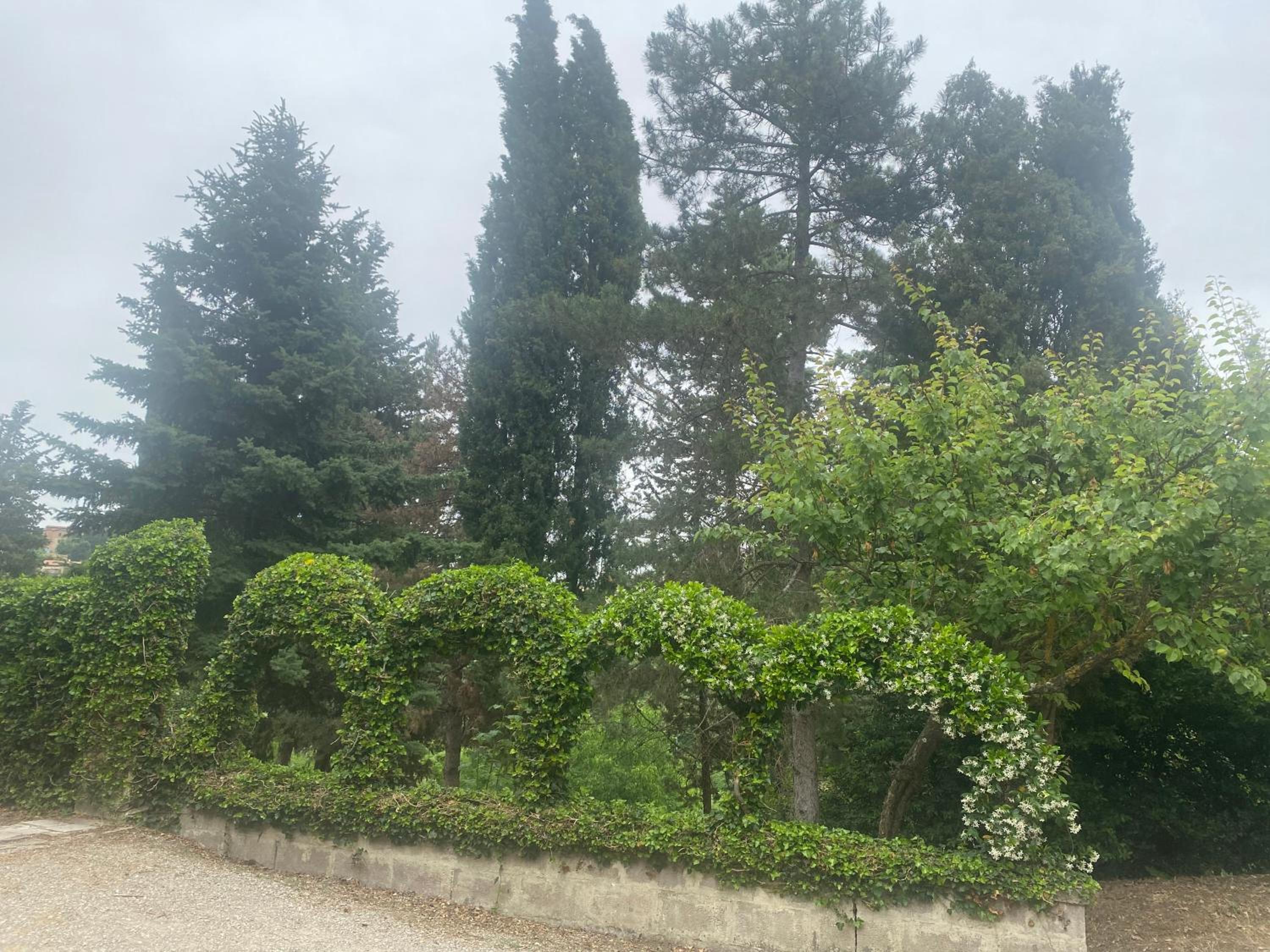 Villa Zara