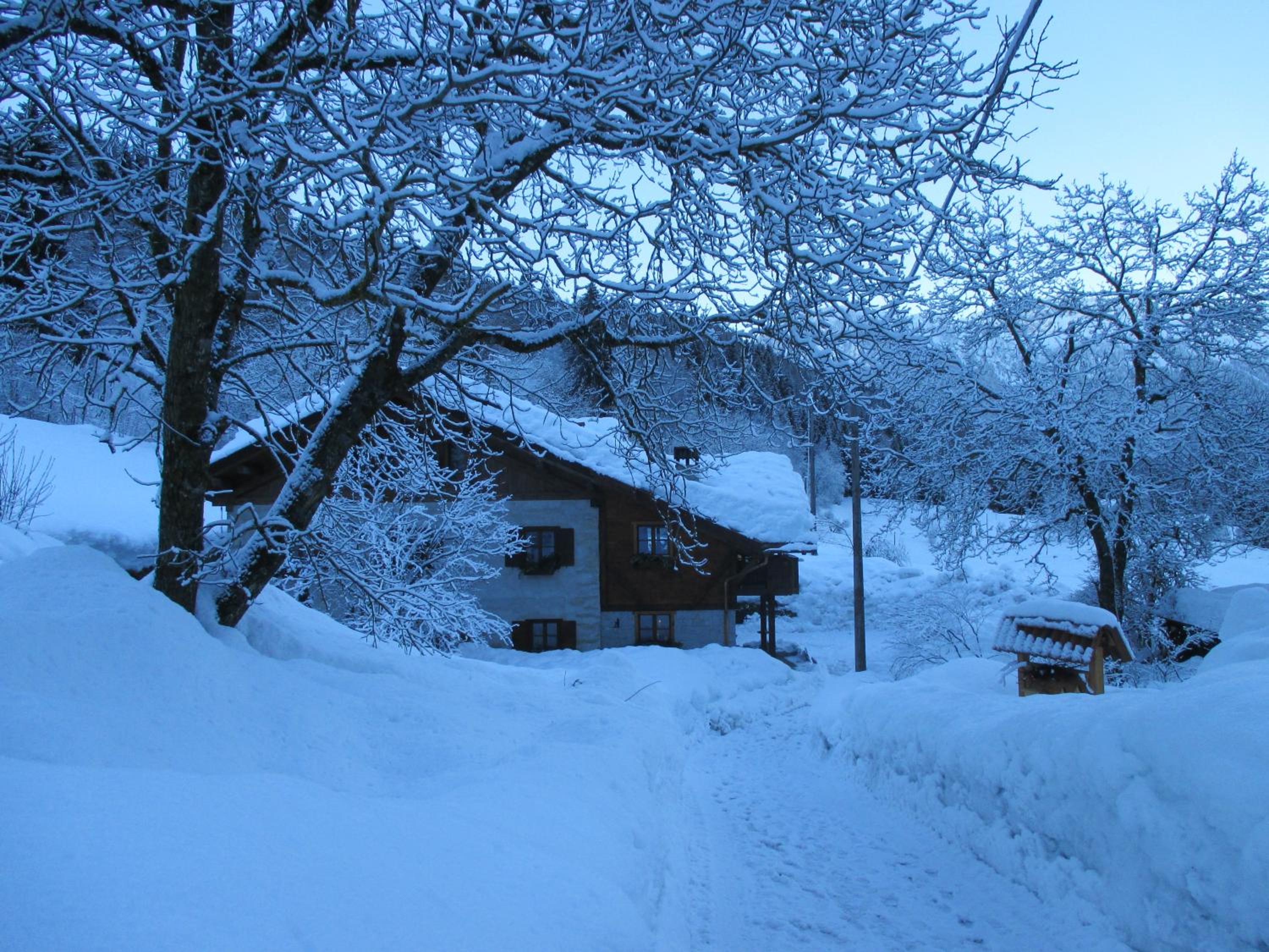 Photo 42